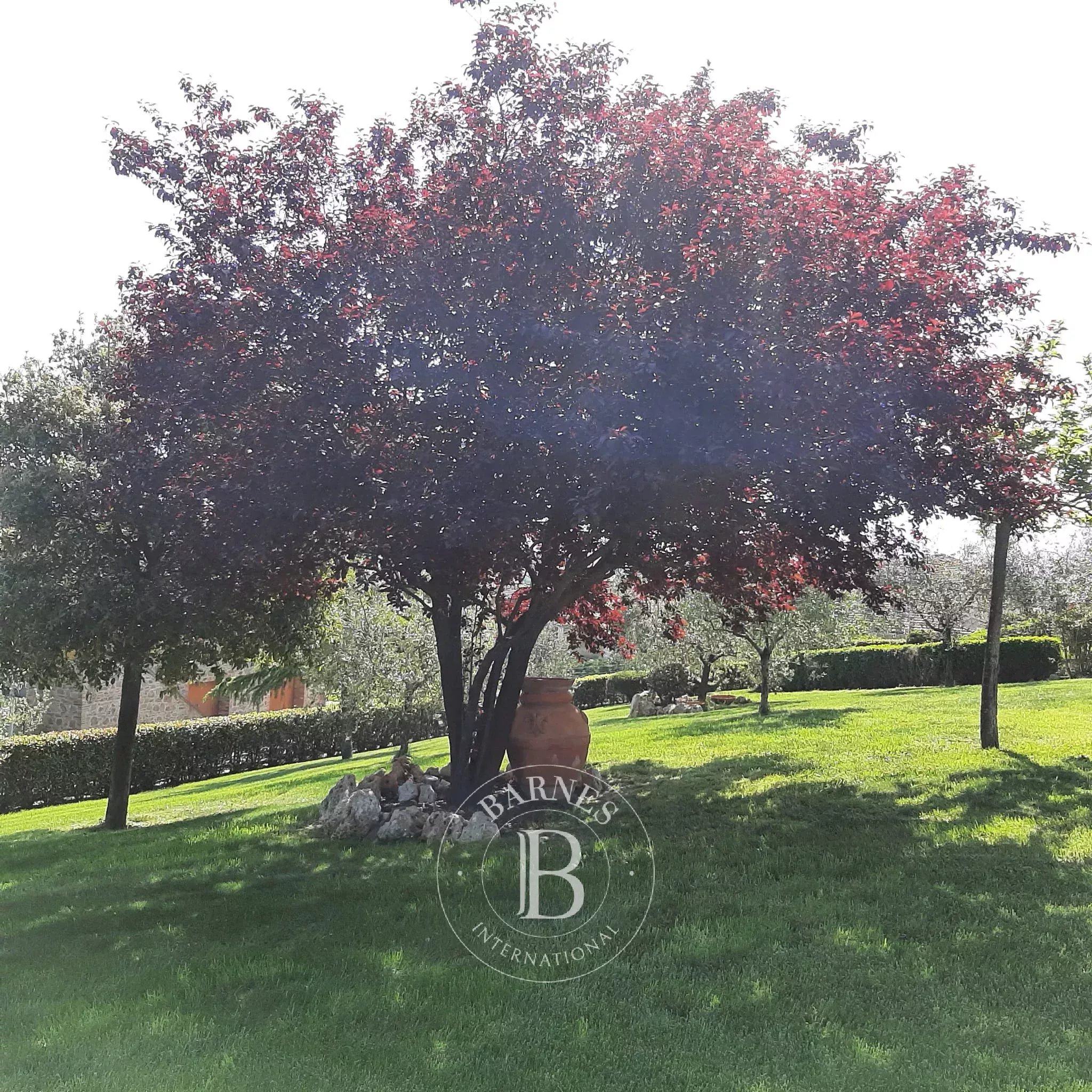 Villa Sinalunga - picture 8