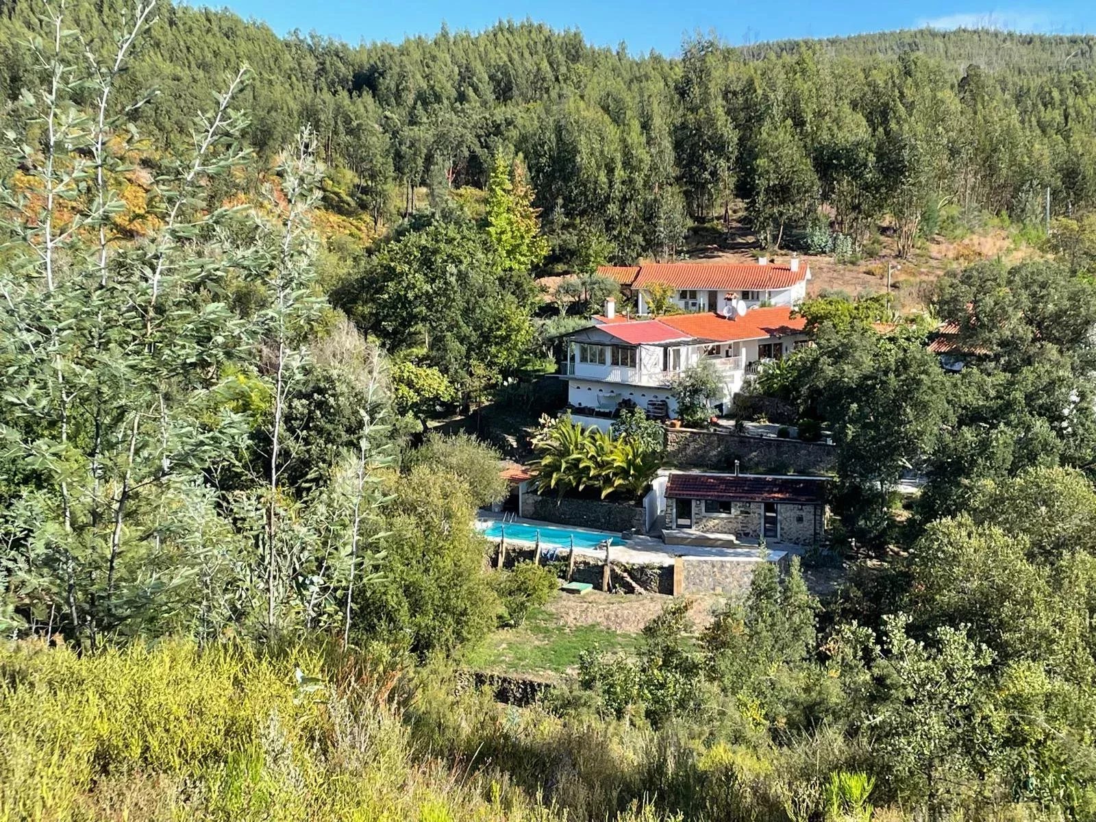 Discover Your New Paradise in Graça, Pedrógão Grande