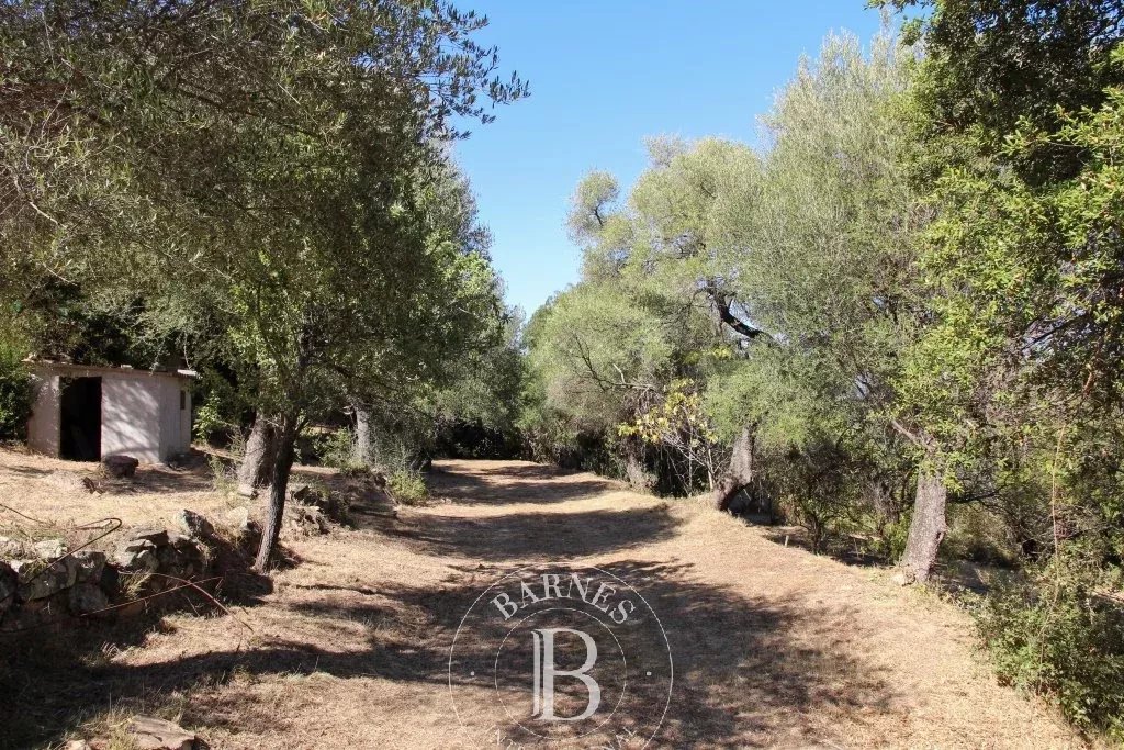 Villa Porto-Vecchio - picture 4