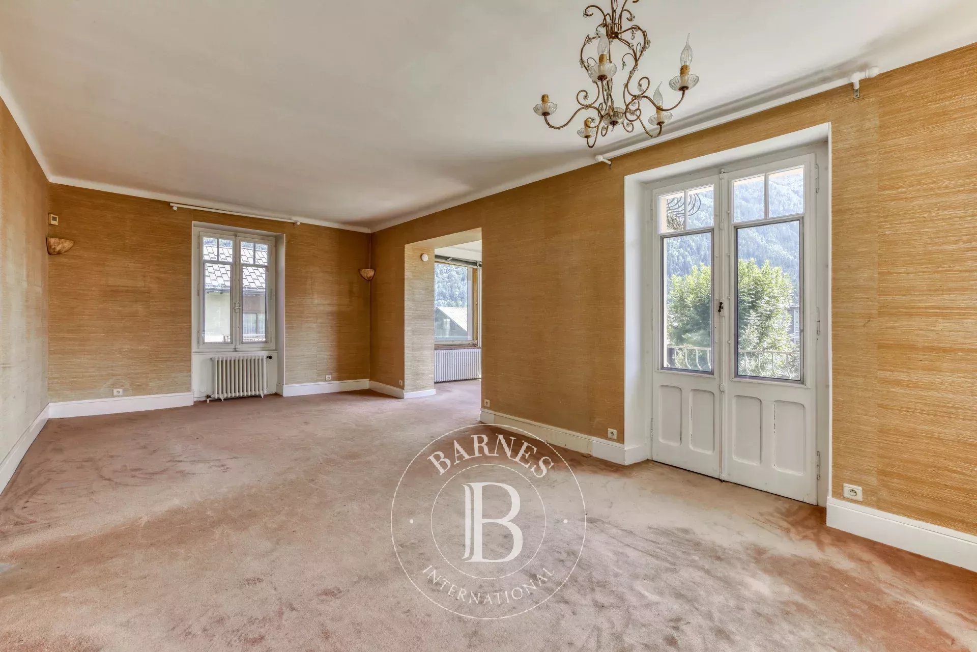 Ev Chamonix-Mont-Blanc - picture 5