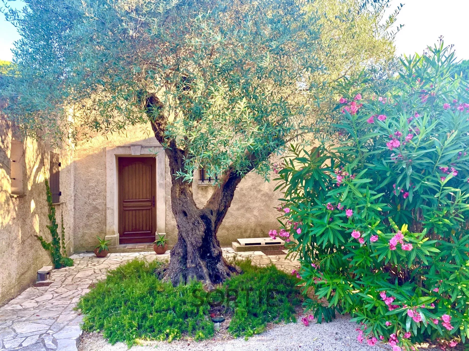 Agence immobilière de Sortie Realty