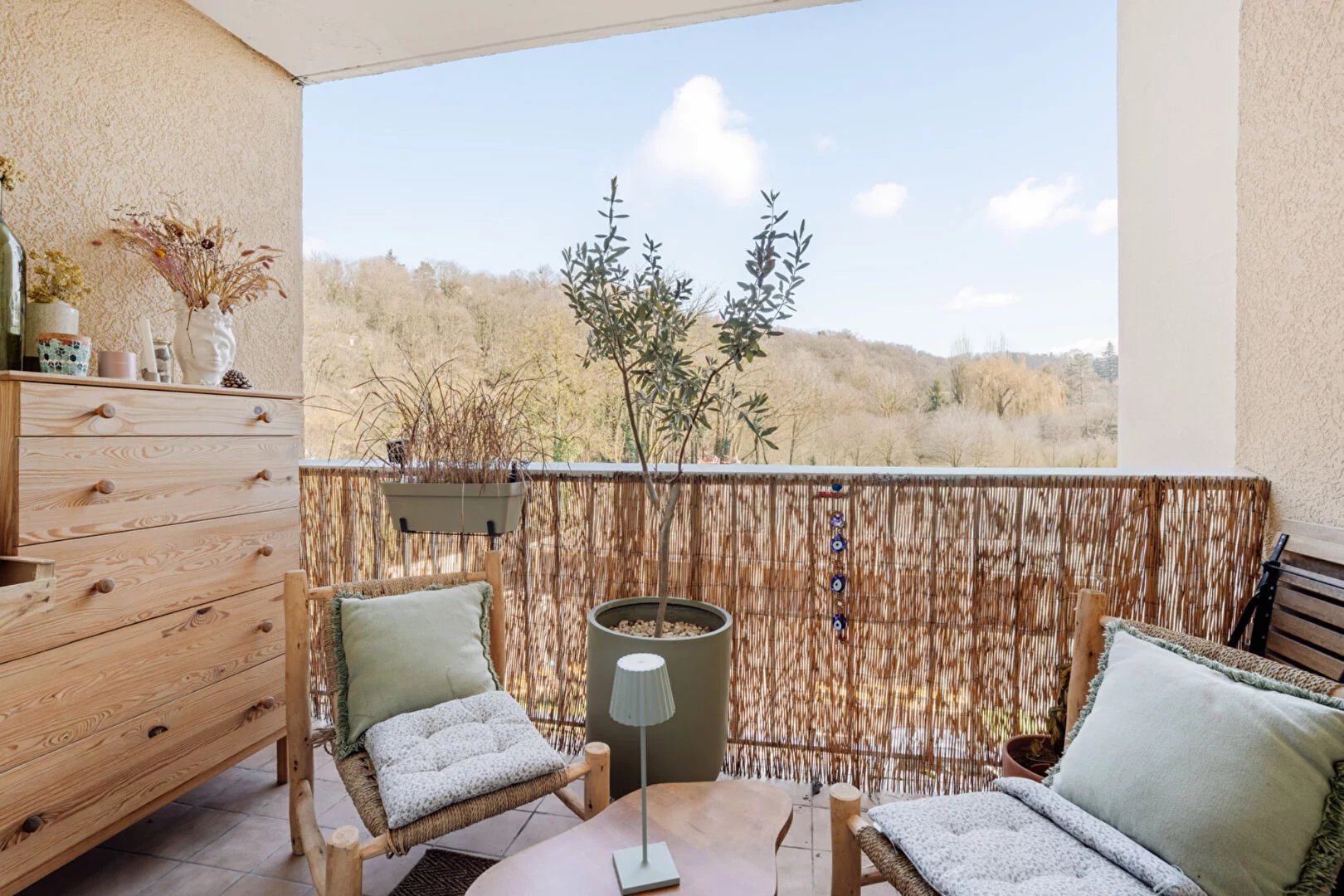 Fontaines-sur-Saône - T3/Balcon/Cave/Parking