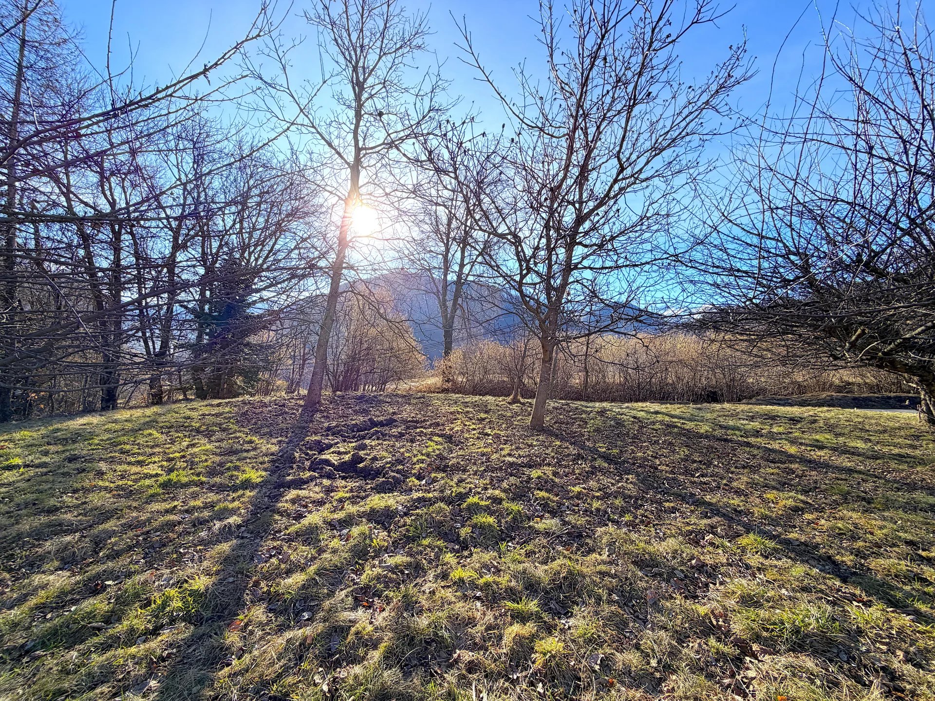 Agence immobilière de C&M IMMOBILIER