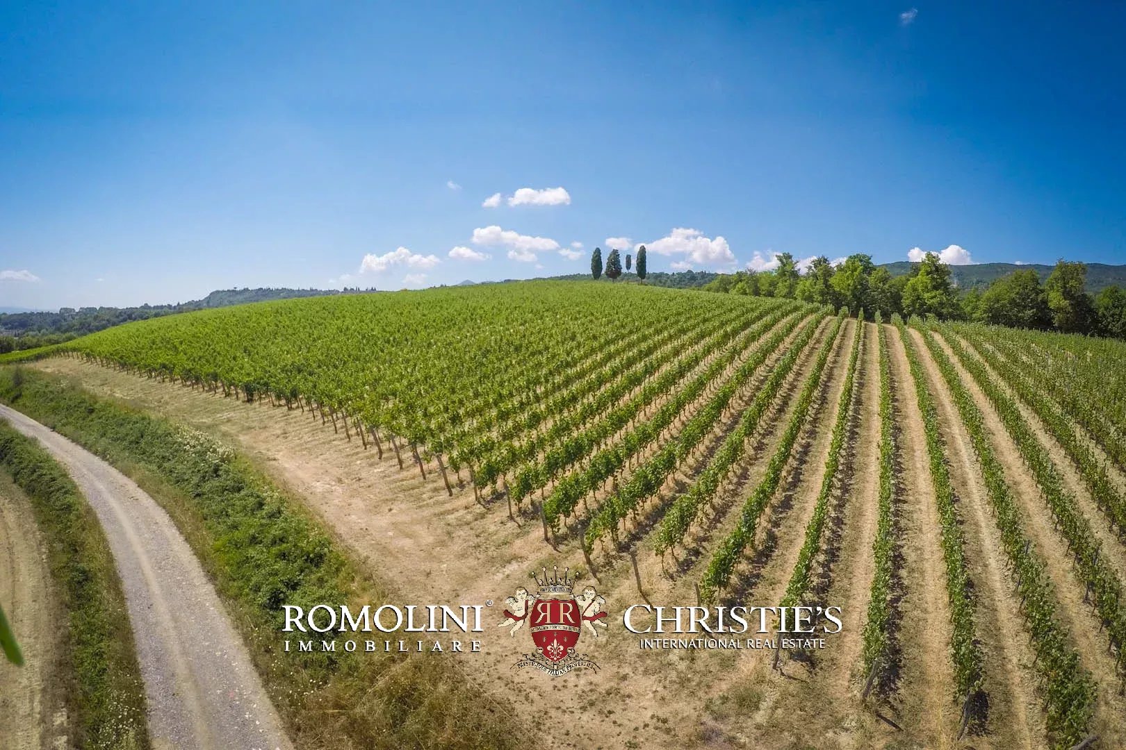15 Bedroom Vineyard's Image 11