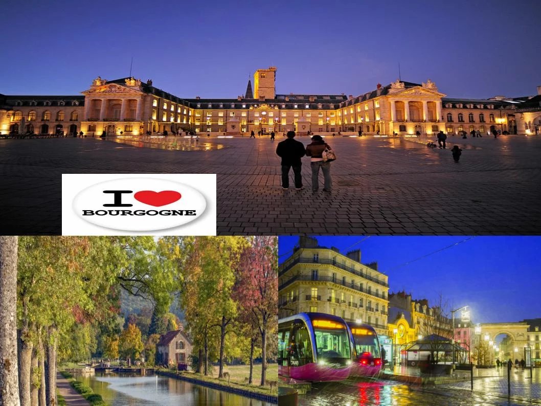 Rare opportunité d’investissement à DIJON