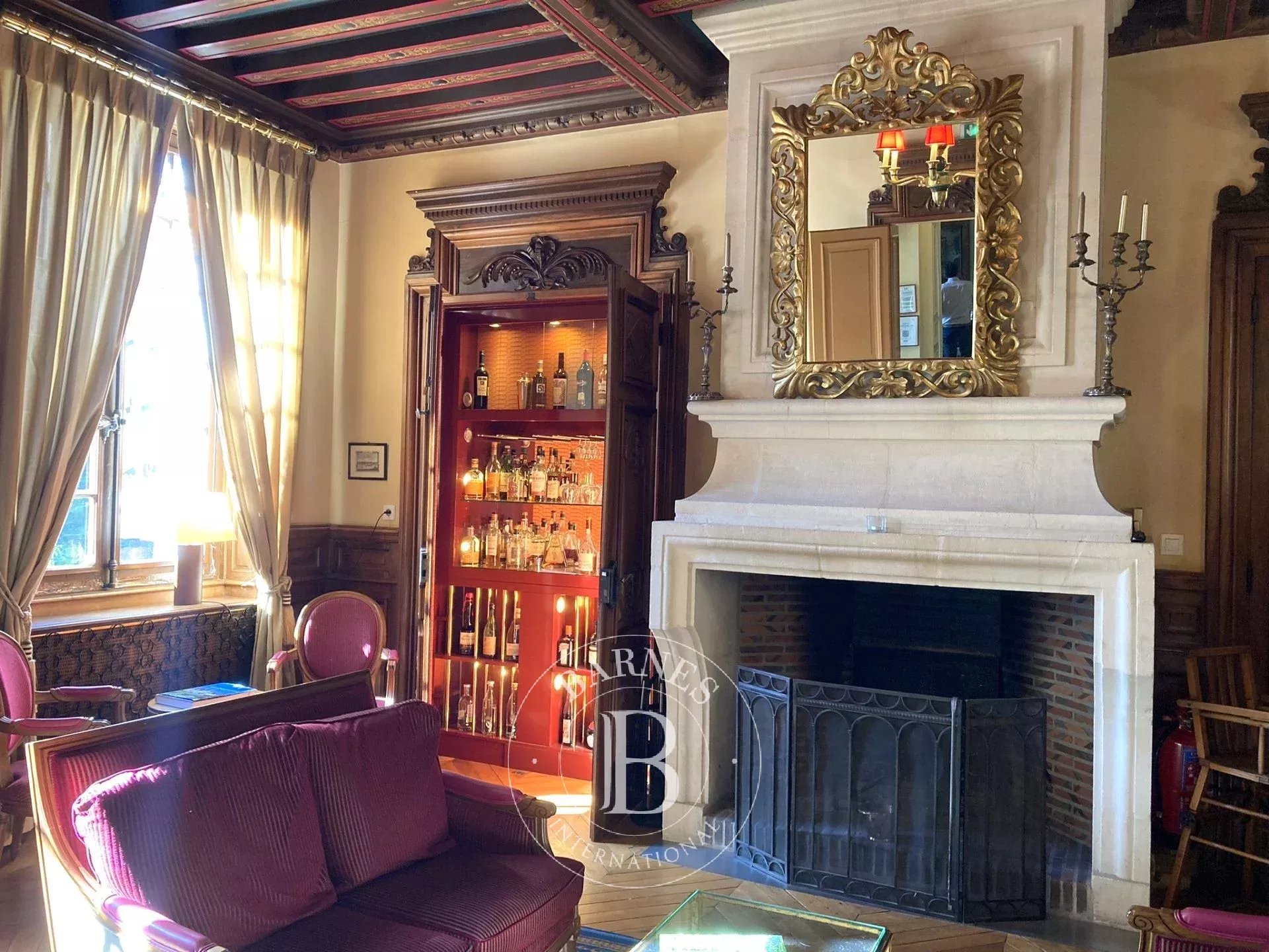 Château Contres  -  ref 7219966 (picture 3)