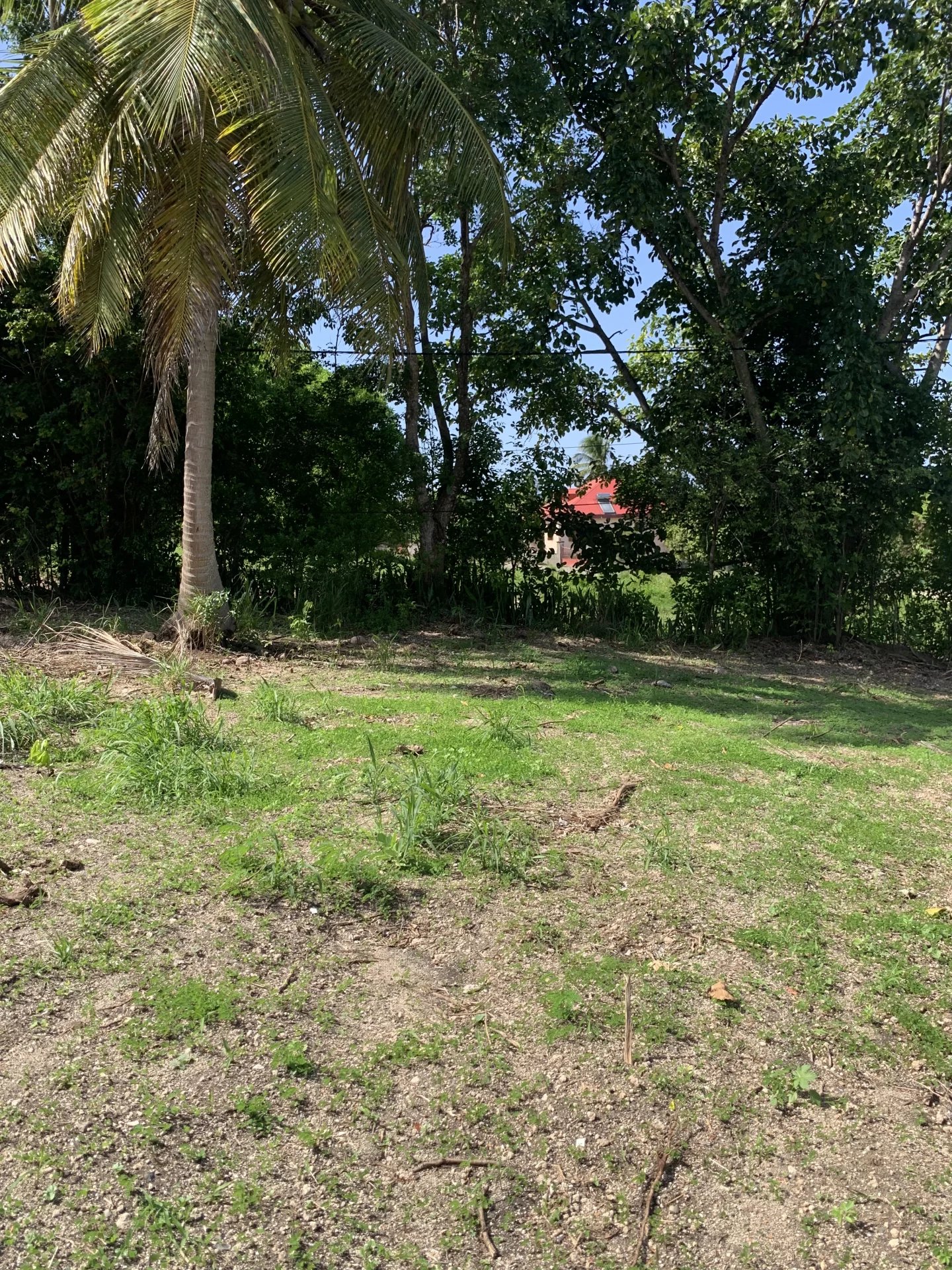 Vente Terrain constructible Saint-François