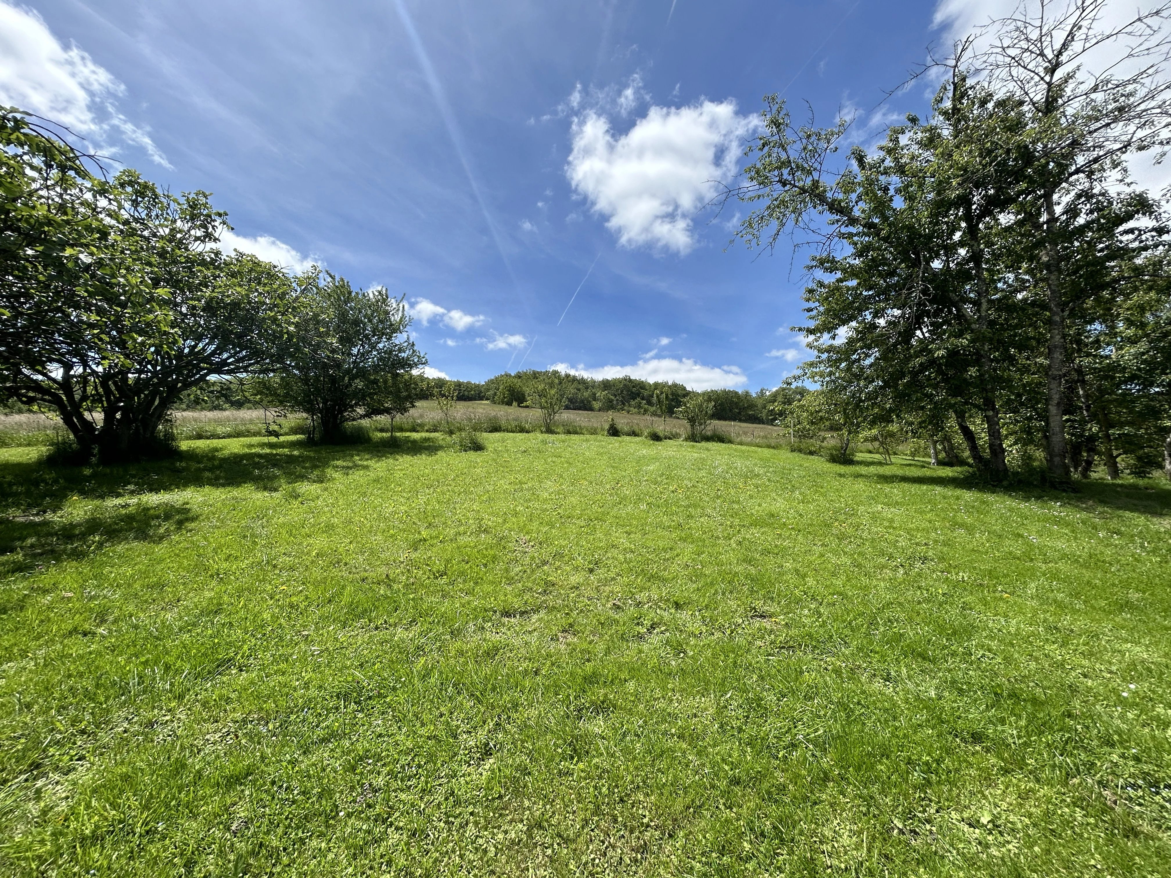 Maison à vendre Belvèze-du-Razès, Aude