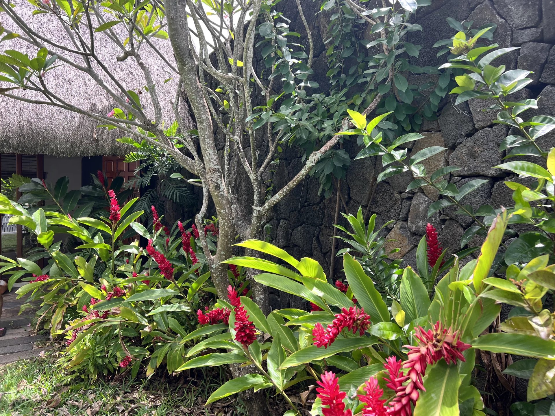 Villa Belle Mare - picture 13