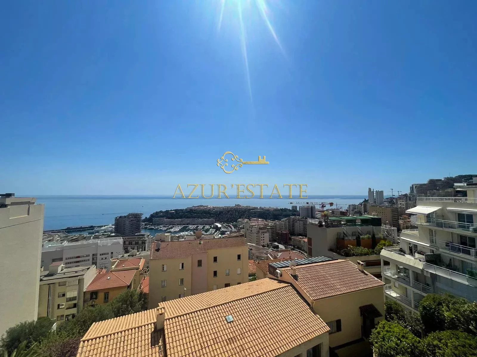 Agence immobilière de Sas Azur'Estate