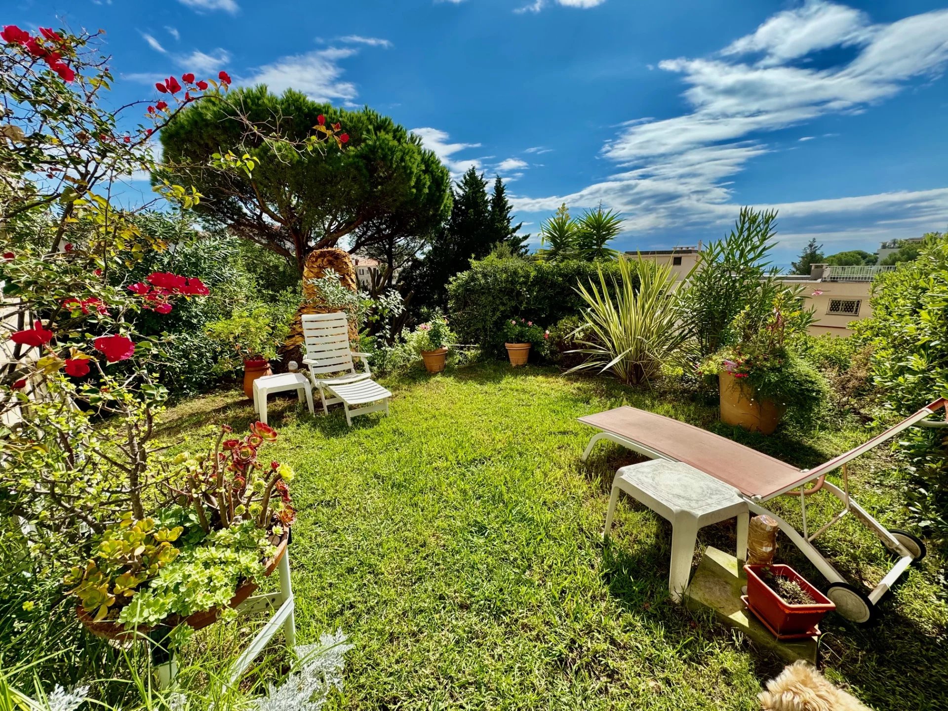 CANNES FOR SALE 3 ROOMS APARTMENT WITH GARDEN