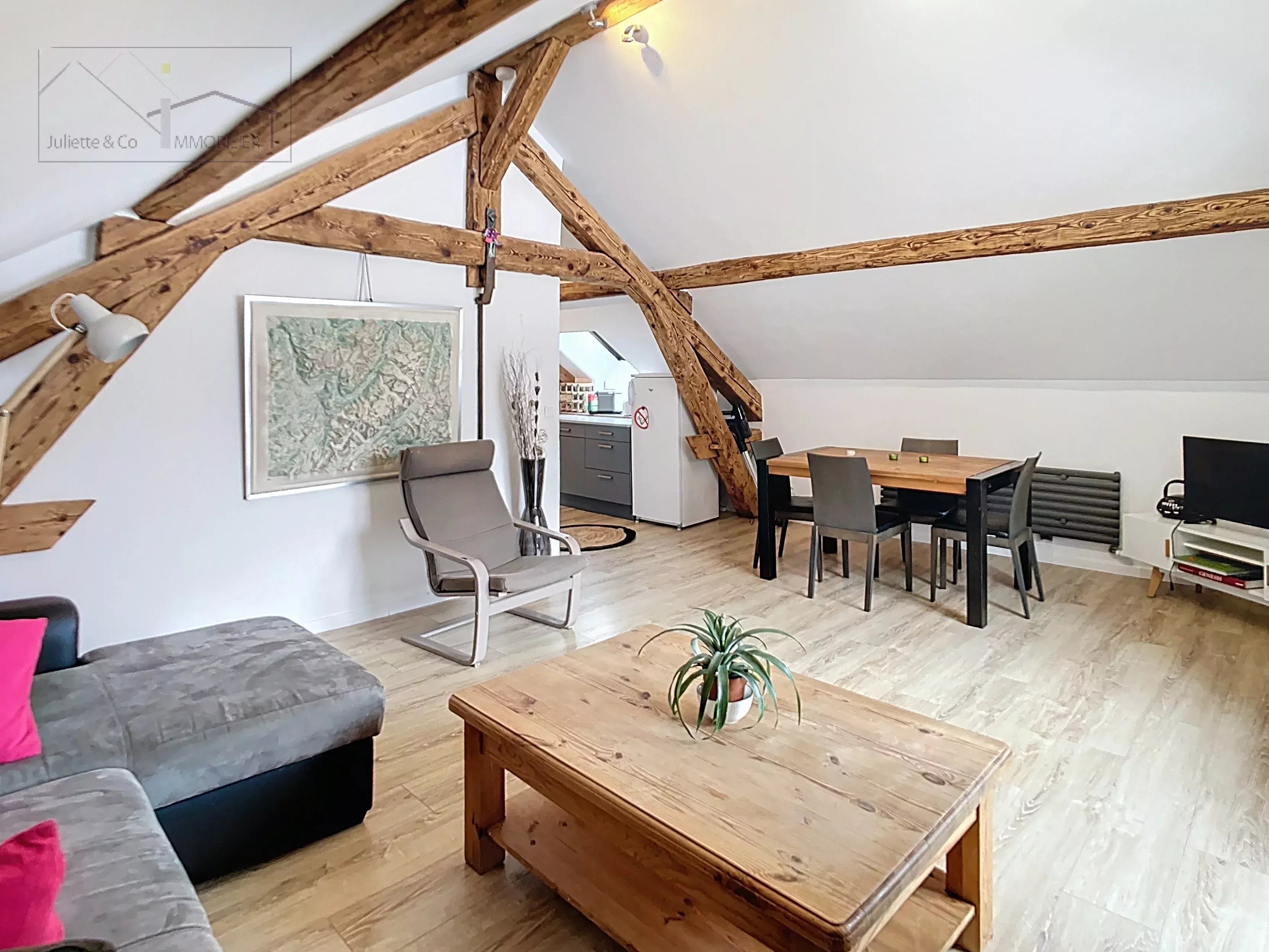 Spacious apartment in the Chavants area Accommodation in Chamonix