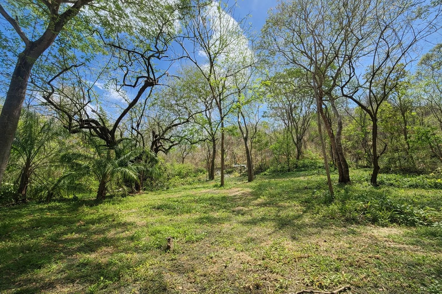 Venta Terreno Tamarindo