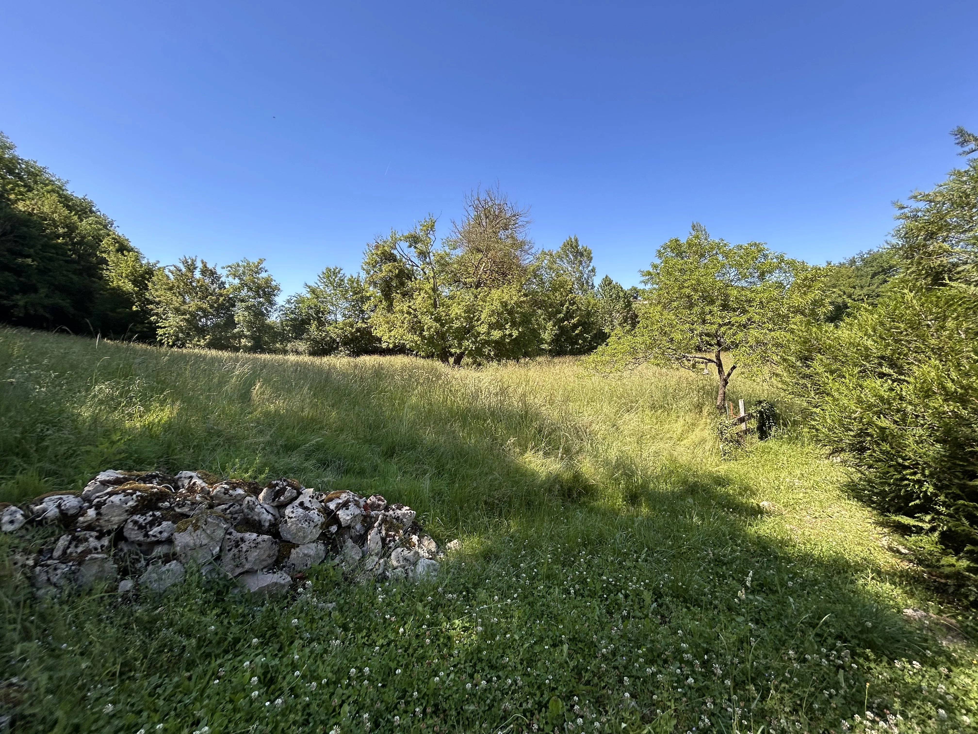 Vente Ferme Aurignac