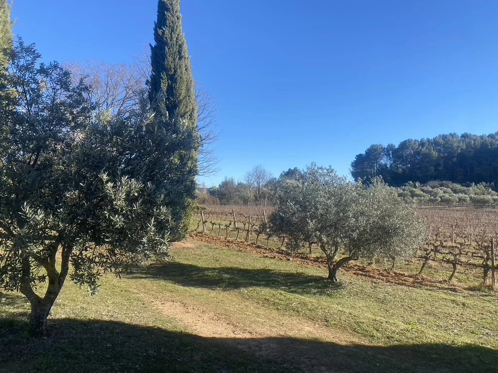 Sale Vineyard property Tourtour