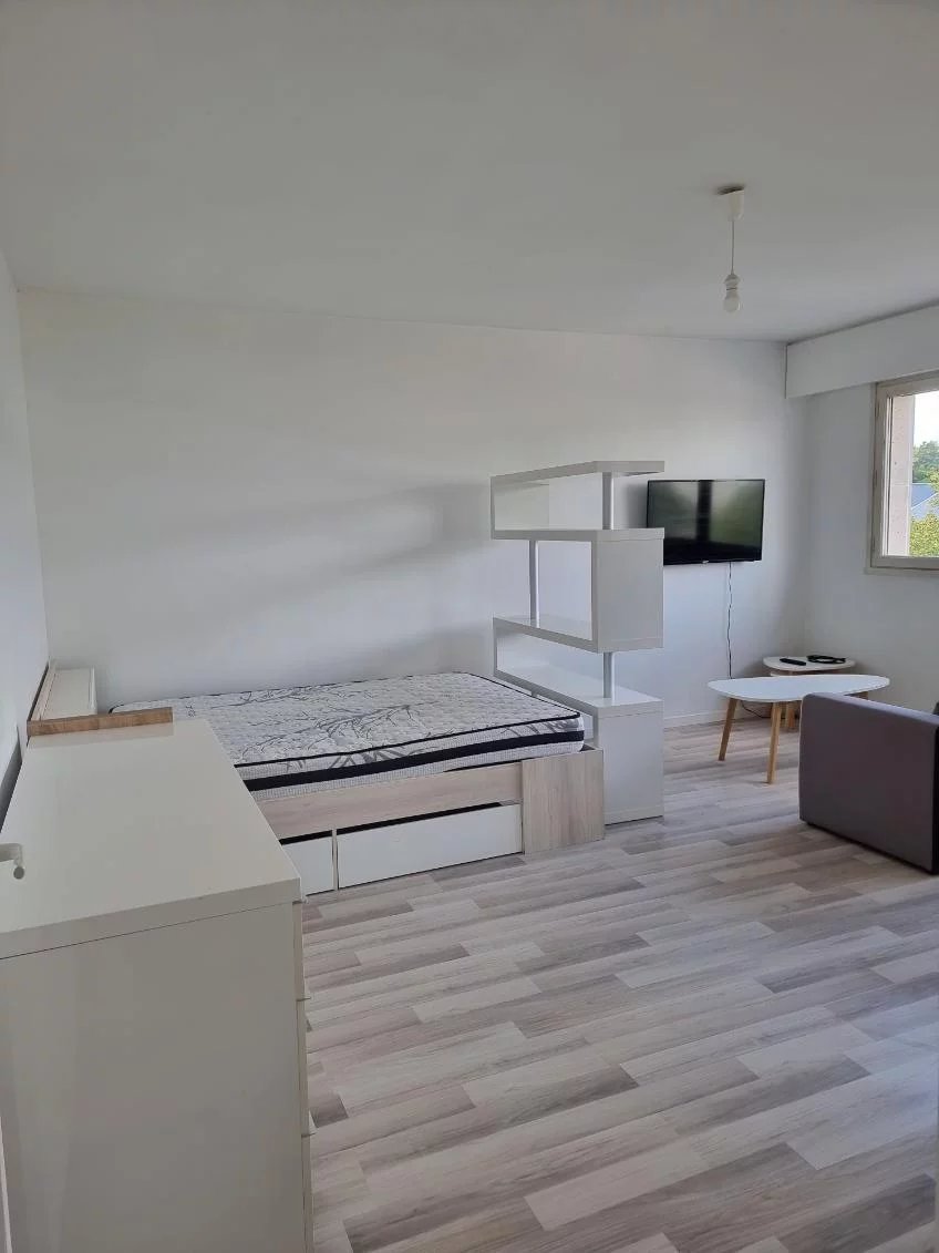 Studio - Bord de loire - Photo 2
