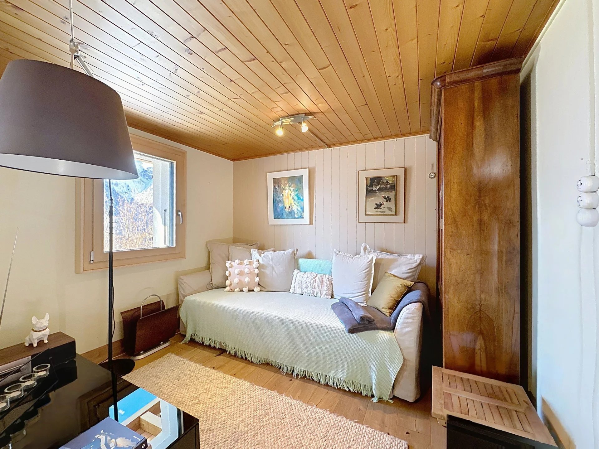 Vue panoramique sur le Mont-Blanc et la Cime de l'Est