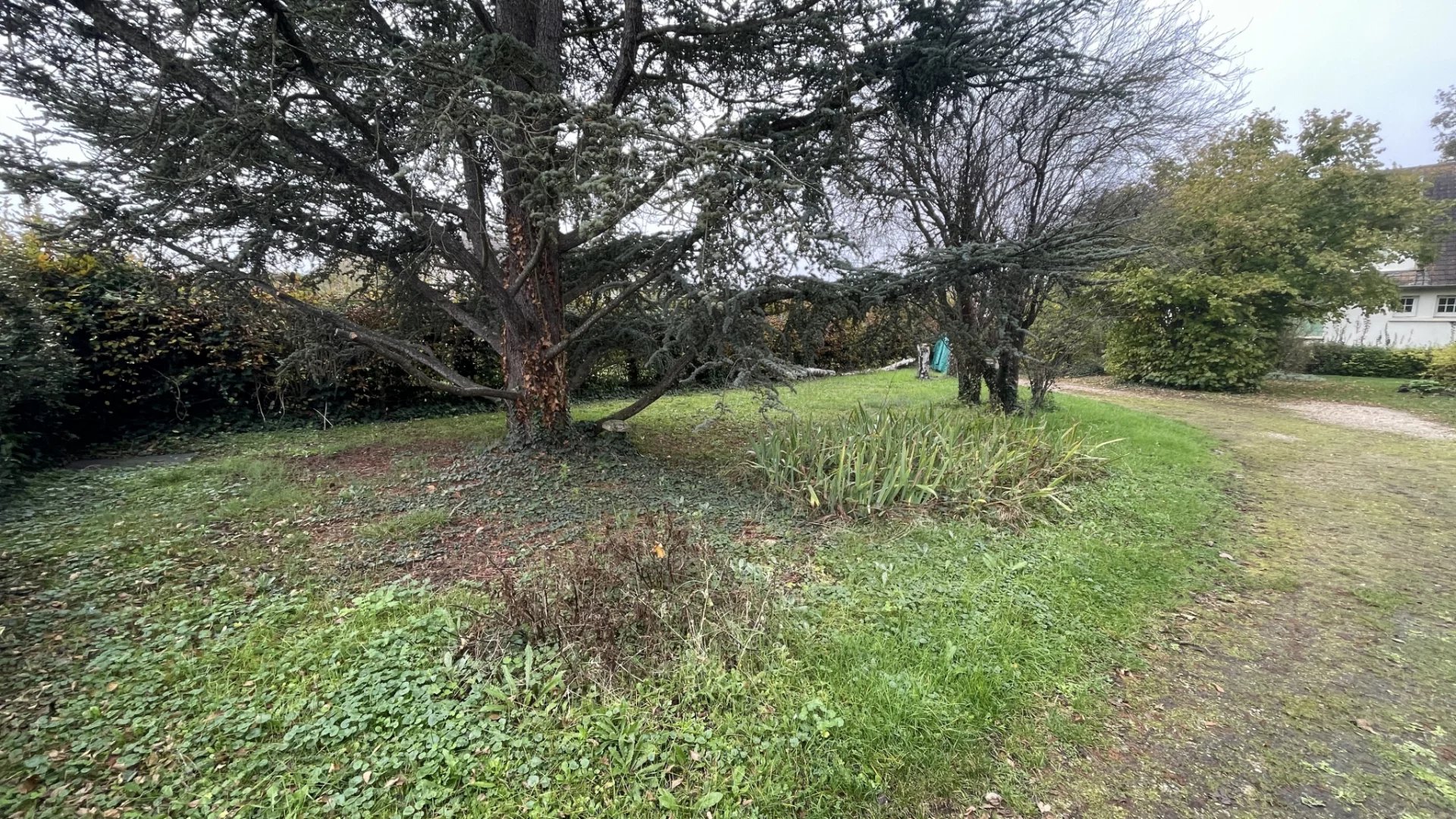 Vente Terrain Montfort-l'Amaury