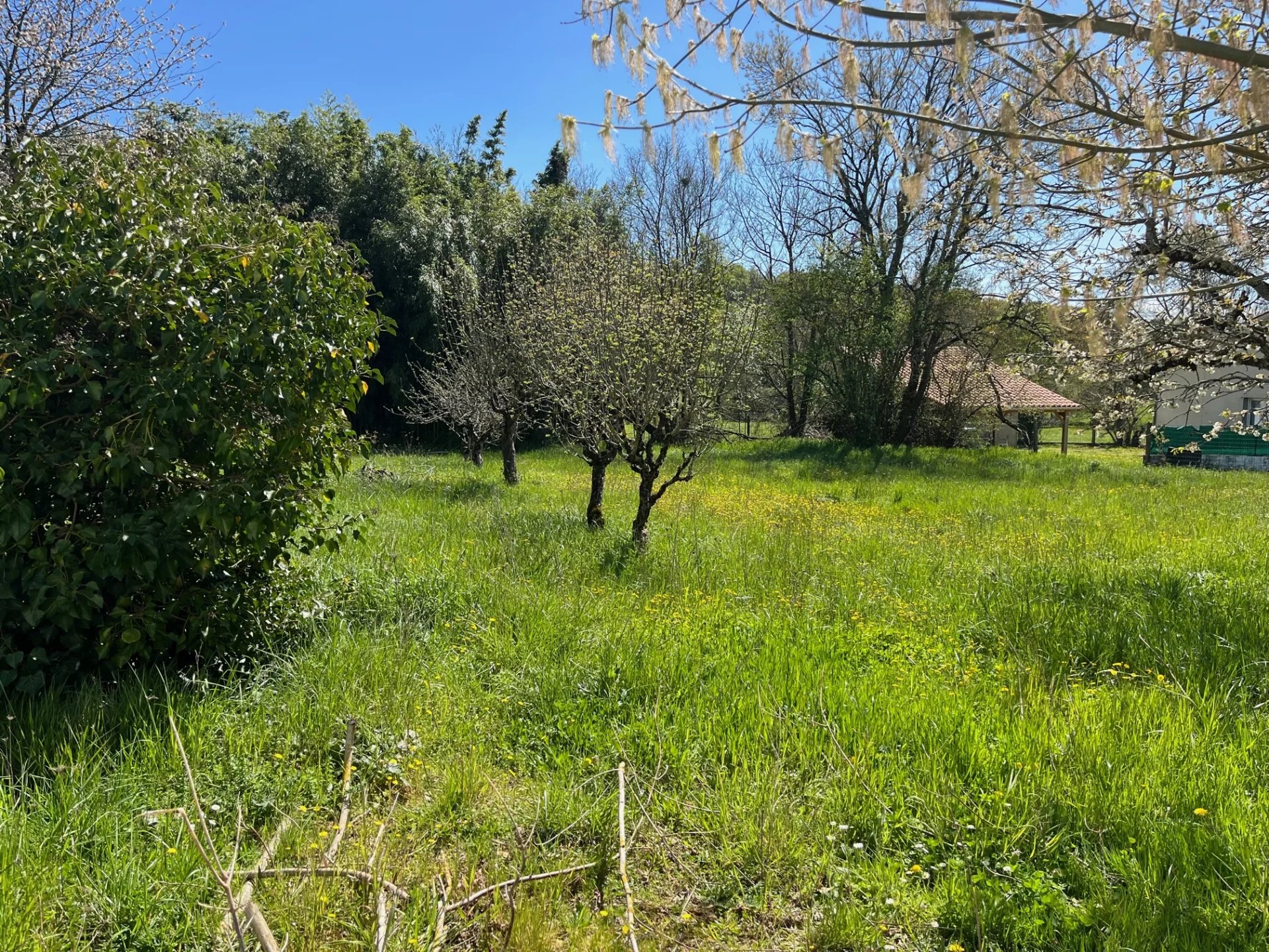 Vente Terrain Ruelle-sur-Touvre