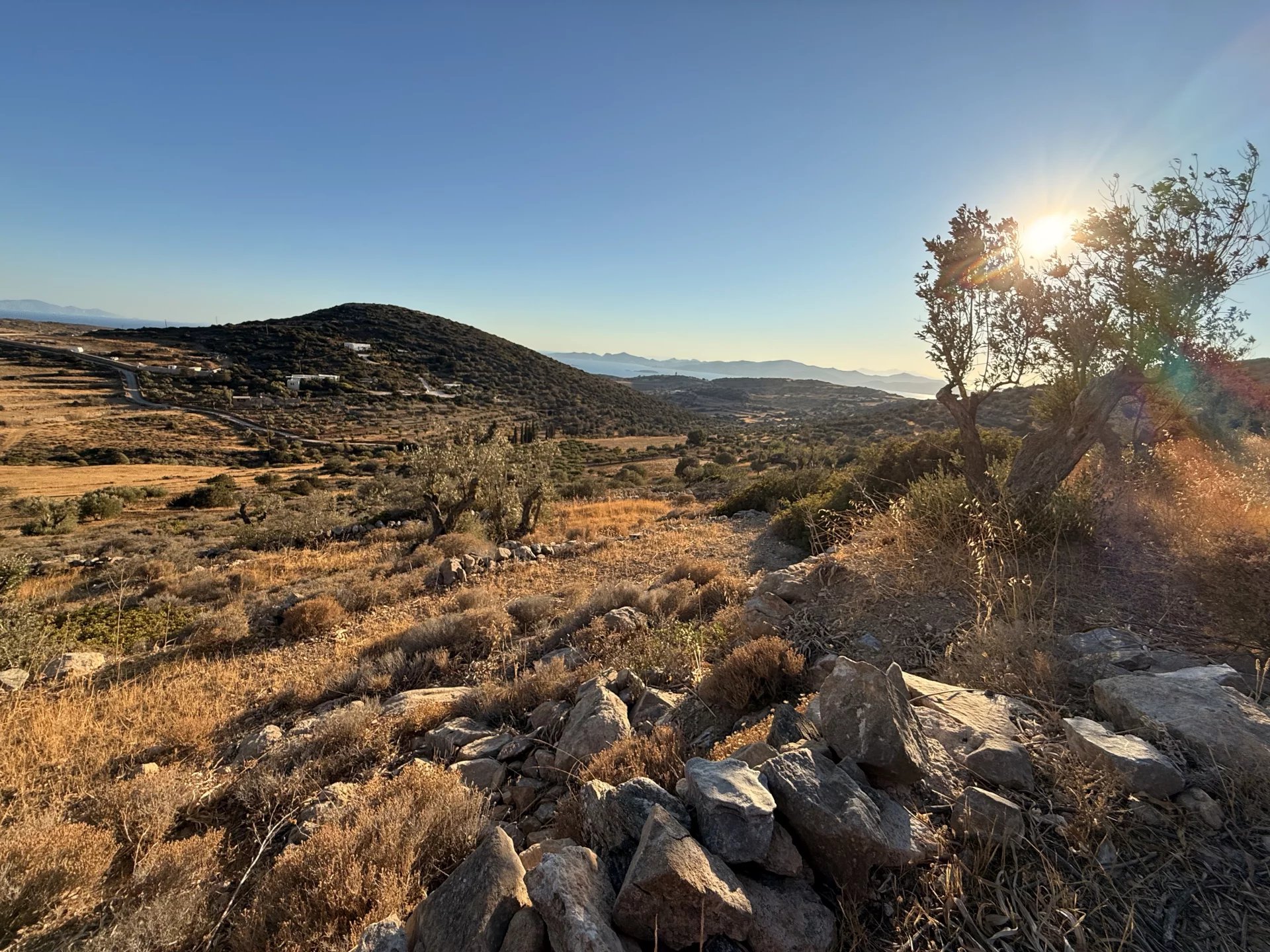 Εικόνα ιδιοκτησίας 15