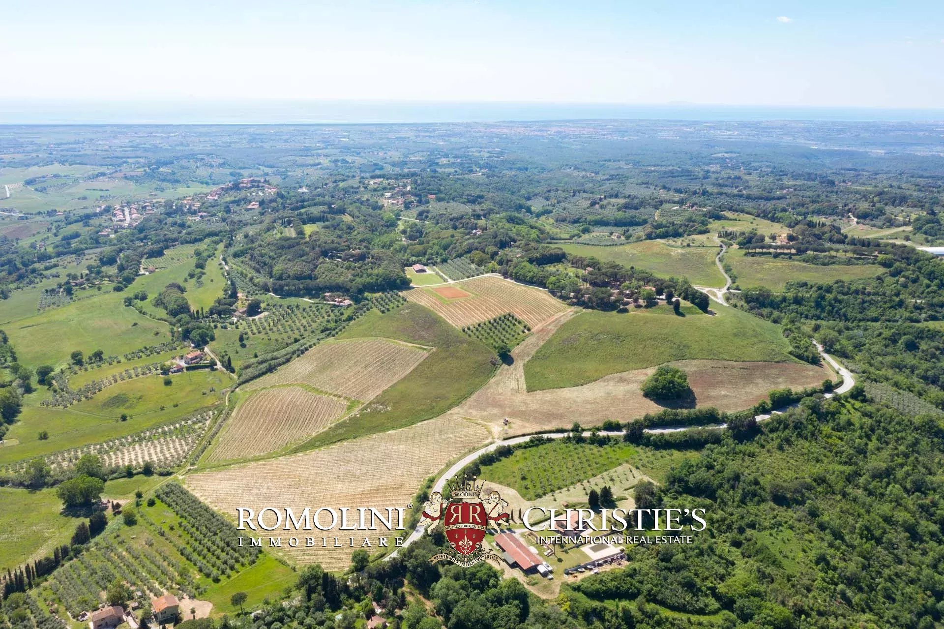 EQUESTRIAN SEA VIEW WINE ESTATE WITH VINEYARDS FOR SALE CLOSE TO BOLGHERI, TUSCANY