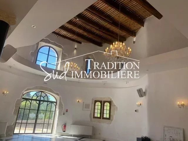 UN CHATEAU AU COEUR DES ALPILLES