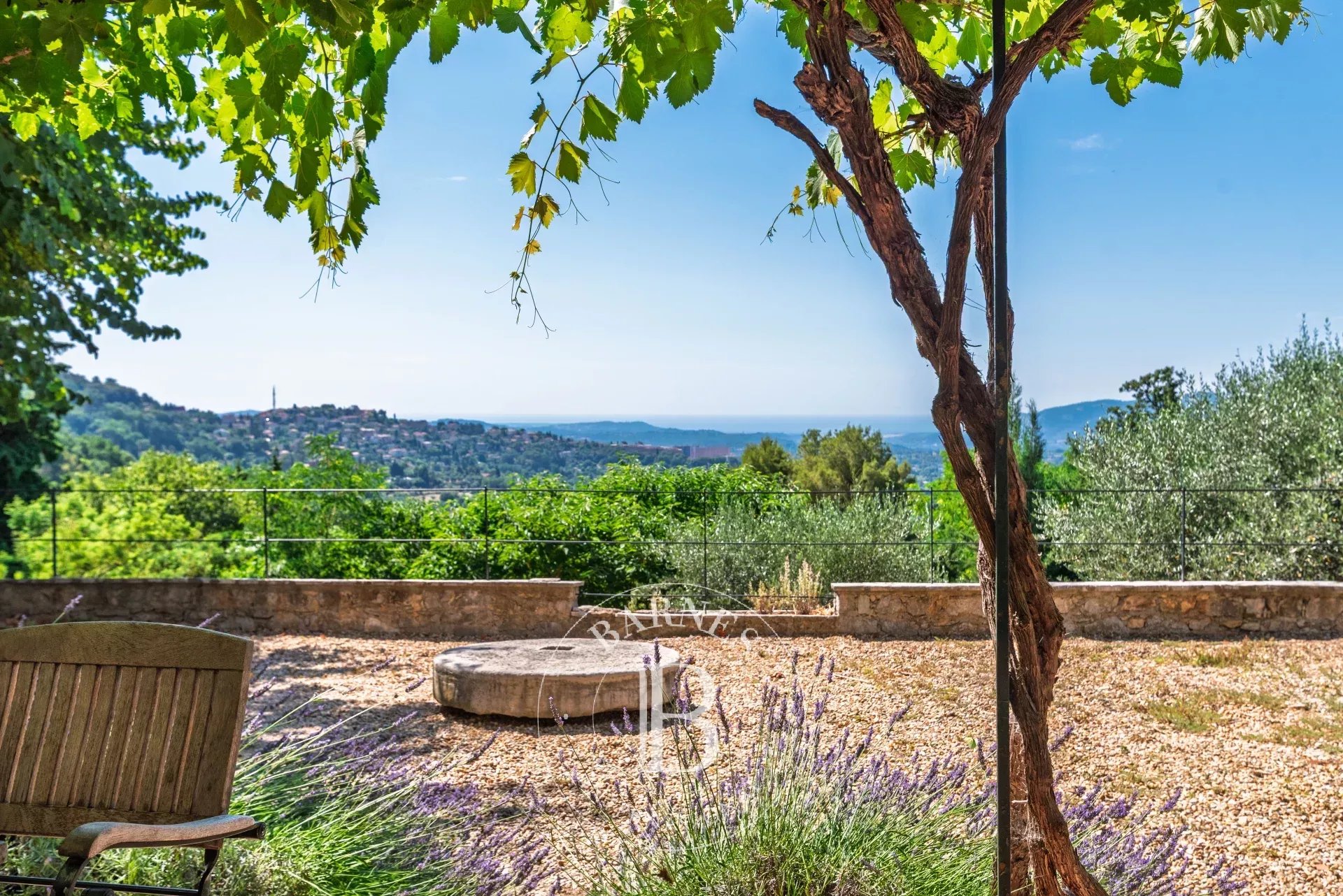 Ev Grasse - picture 5