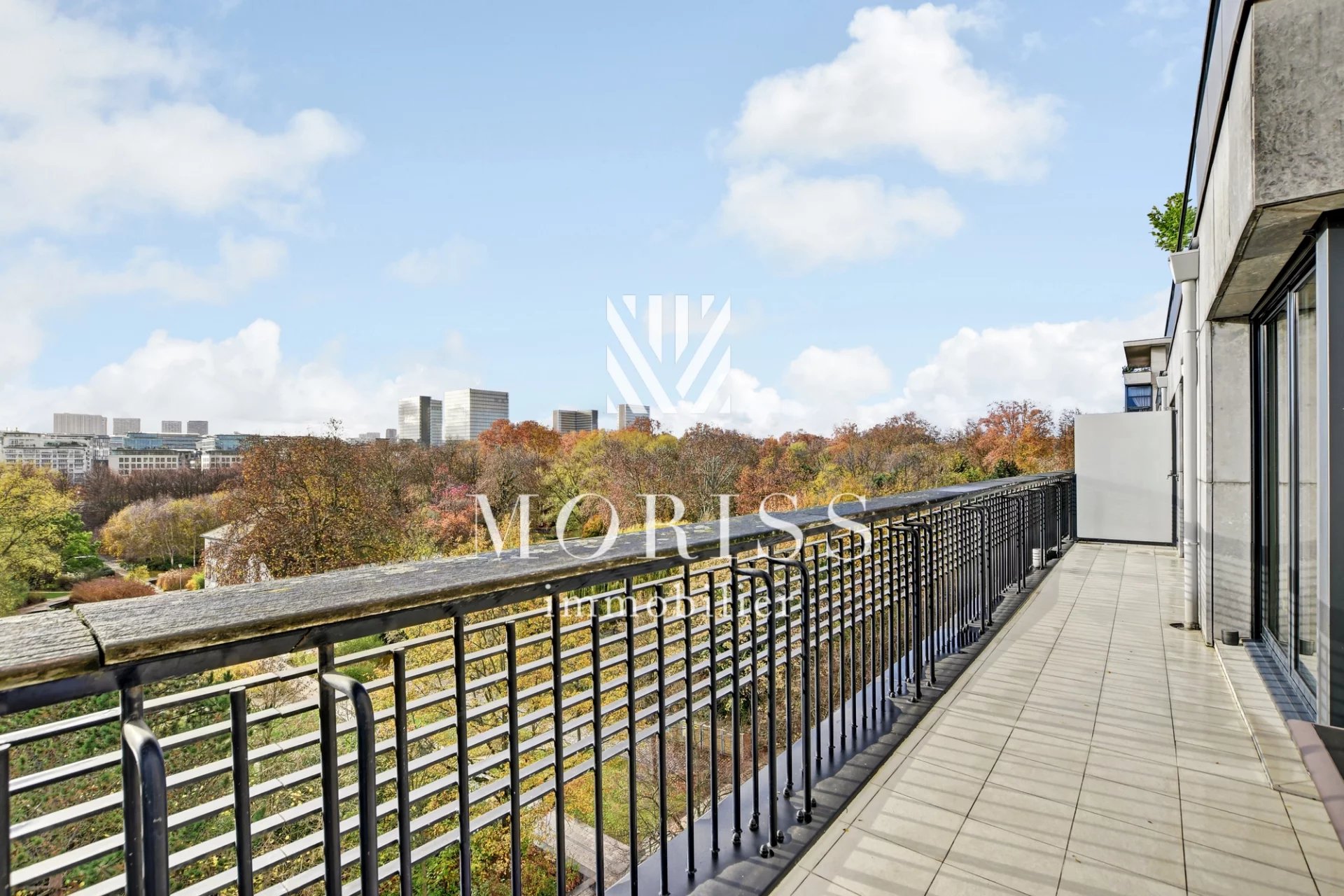 Paris 12 Appartement de 3 pièces + 21 m2 de terrasse - Image Array