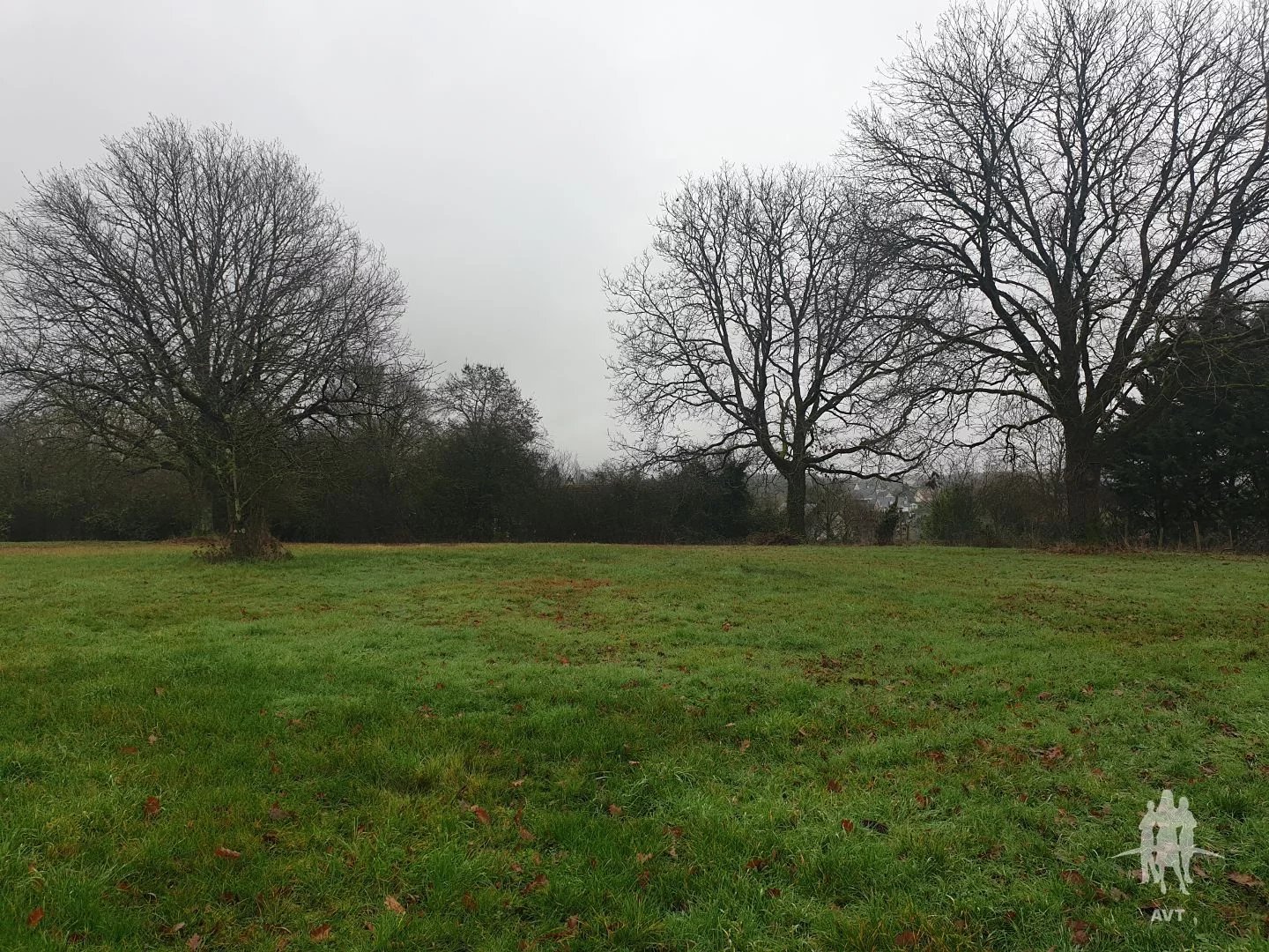 Vente Terrain Auzouer-en-Touraine