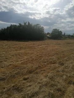 Vente Terrain Mirepoix-sur-Tarn