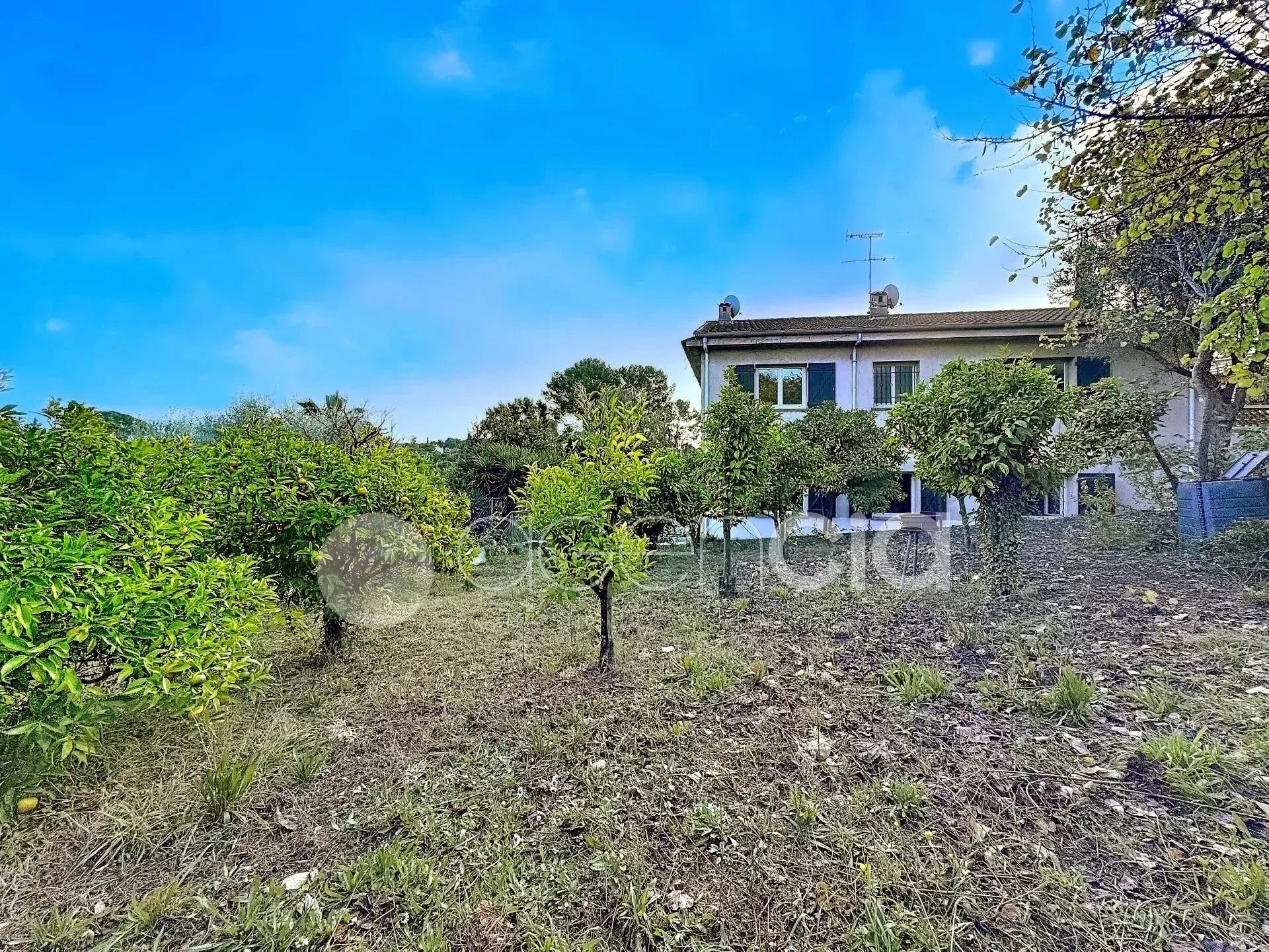 Agence immobilière de Agencia Saint-Pierre