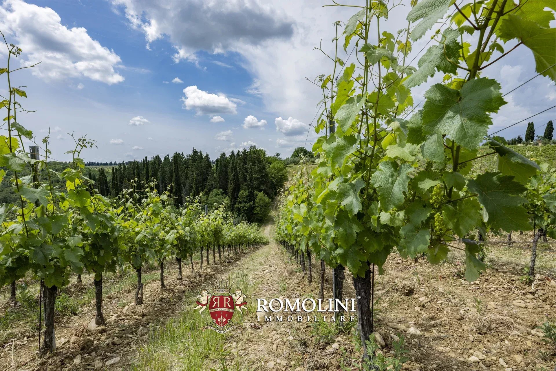 7 Bedroom Vineyard's Image 25