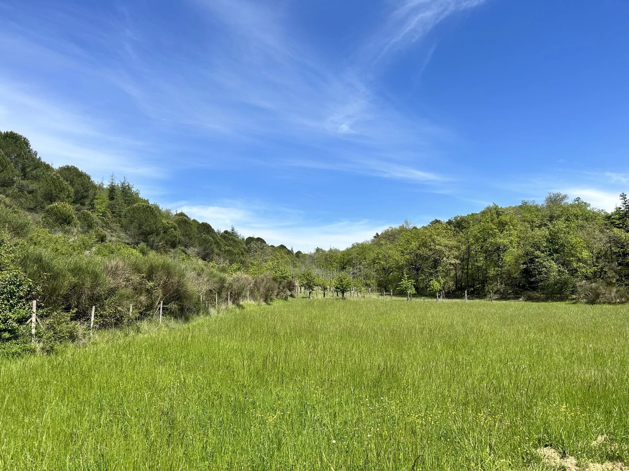 Ferme à vendre Fanjeaux, Aude