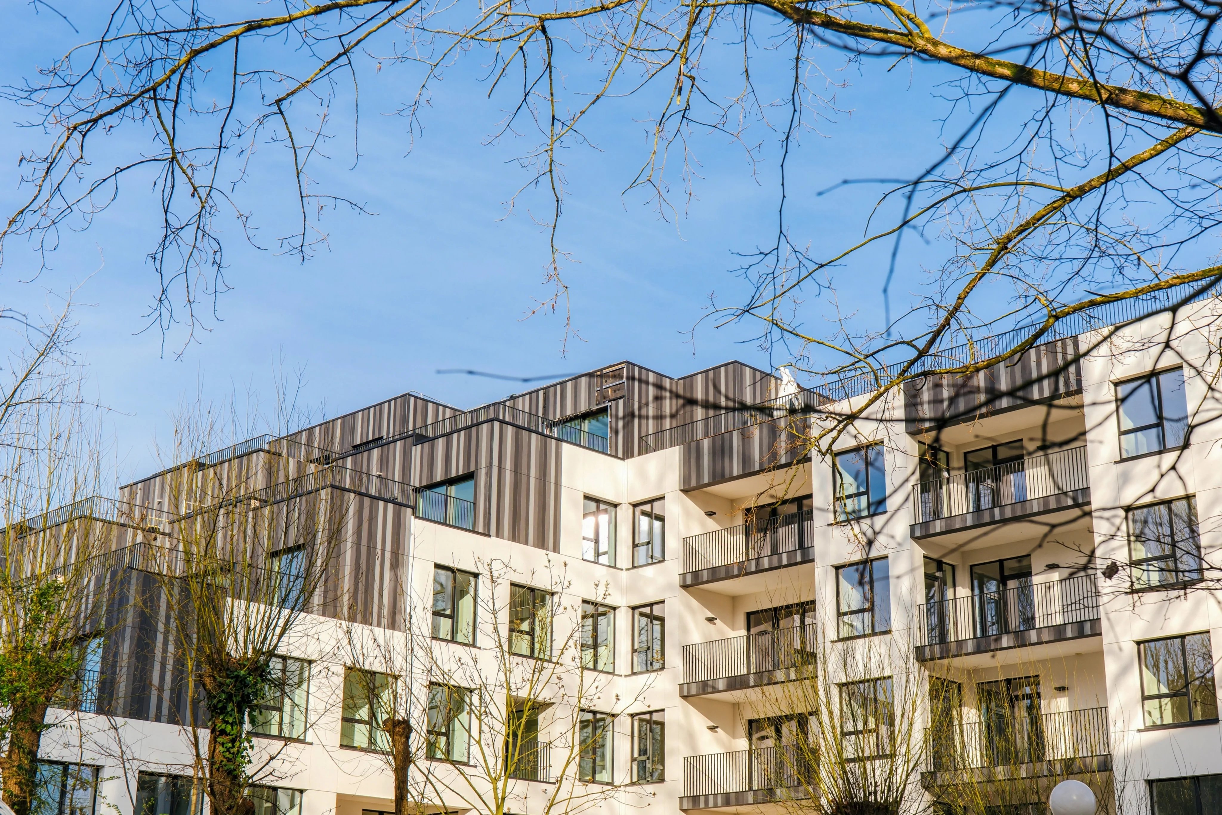 PROJET TWIN FALLS