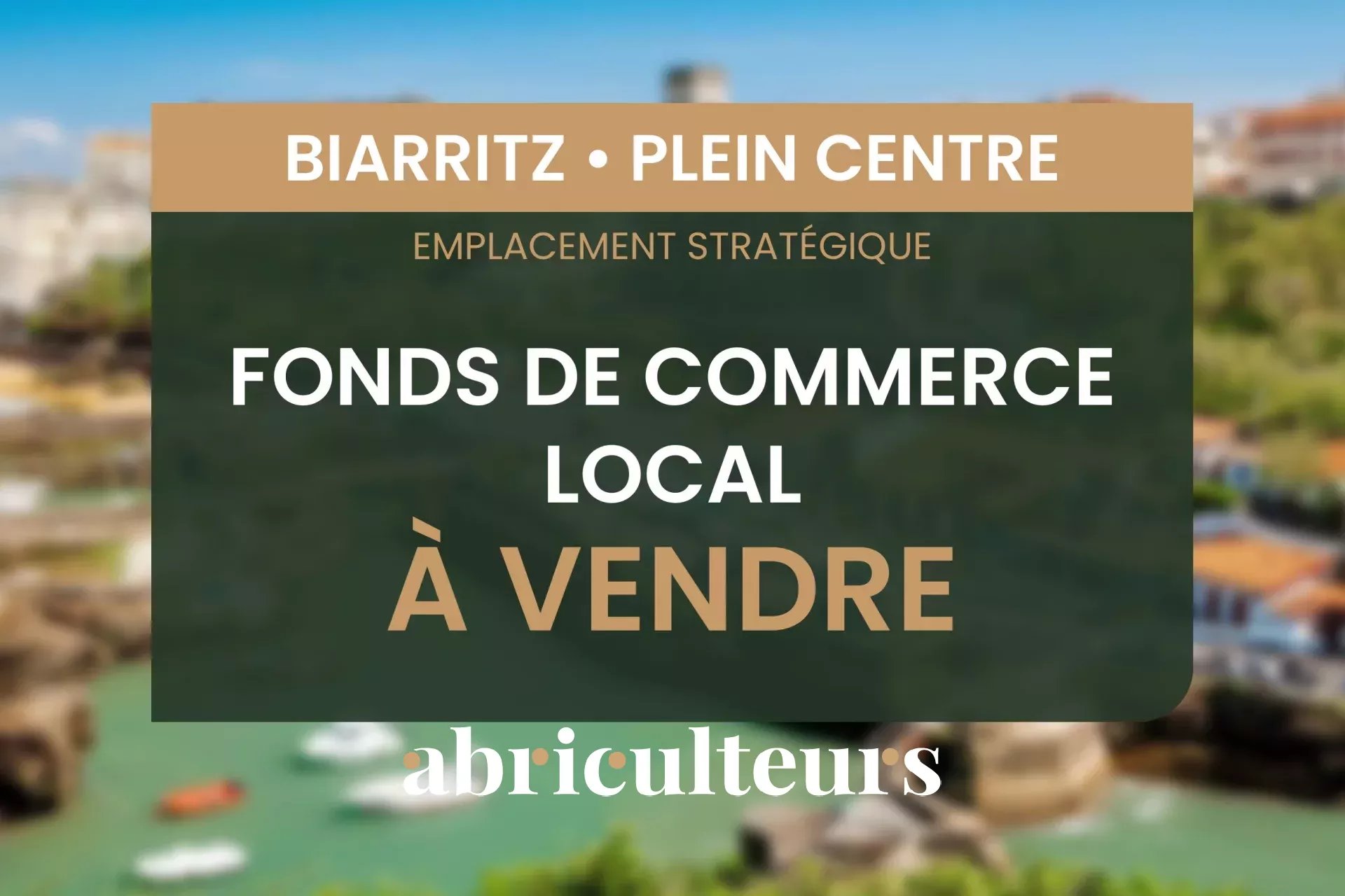 Agence immobilière de LES ABRICULTEURS