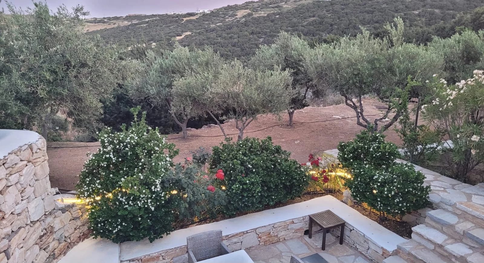 Εικόνα ιδιοκτησίας 36
