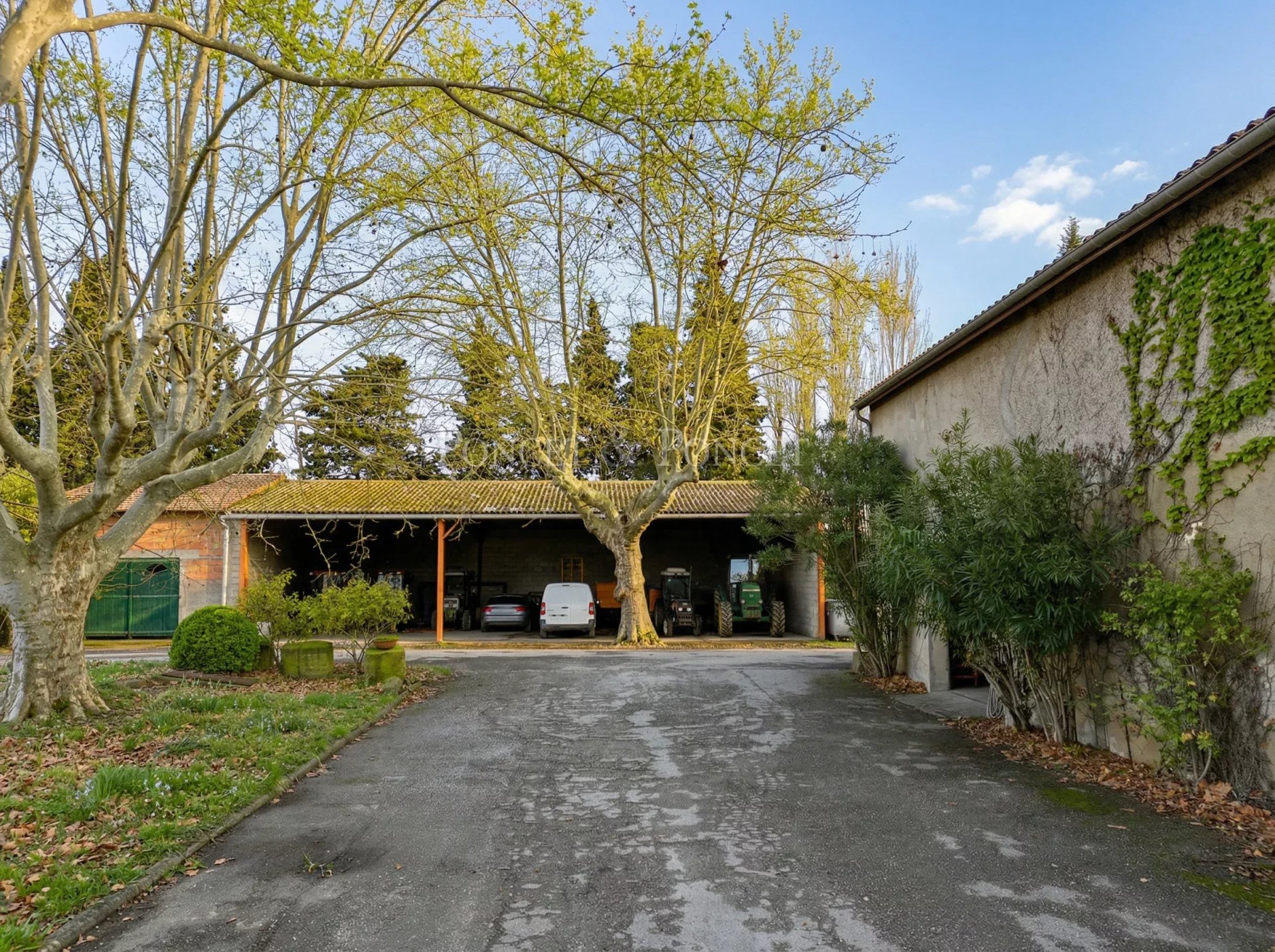 7 Bedroom Vineyard's Image 6