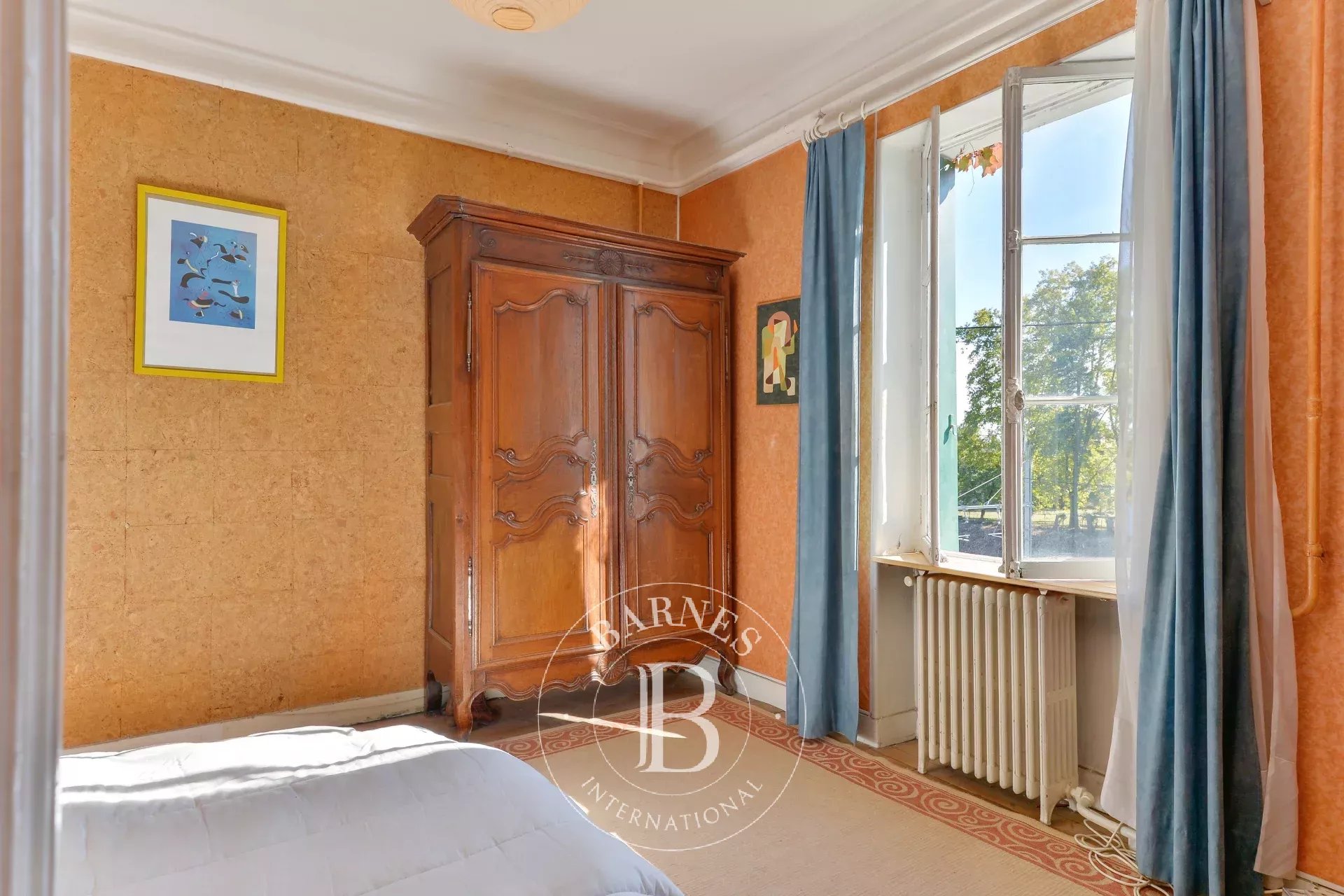 Ev Tassin-la-Demi-Lune - picture 9