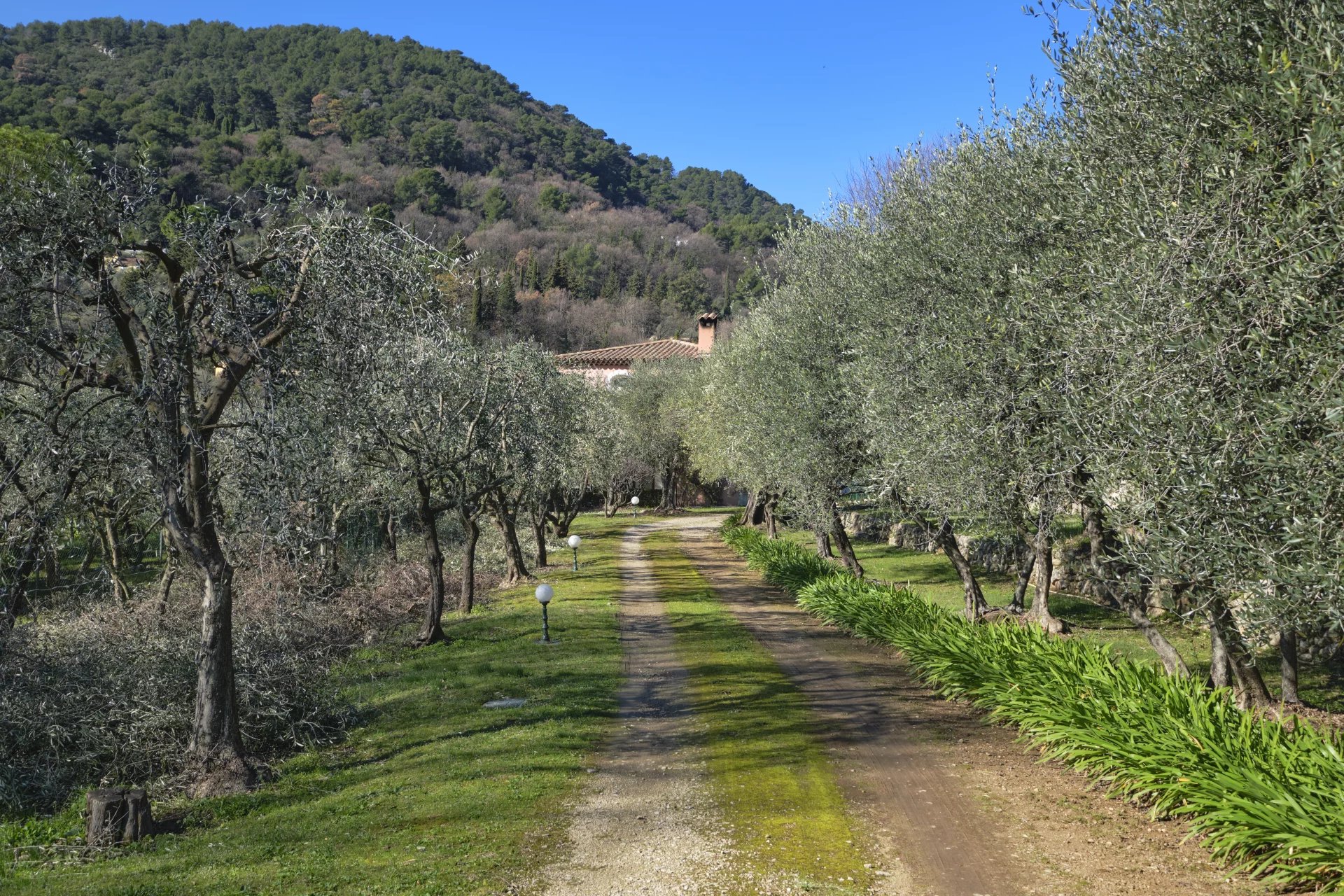 Magnificent property in absolute peaceful setting with guest house