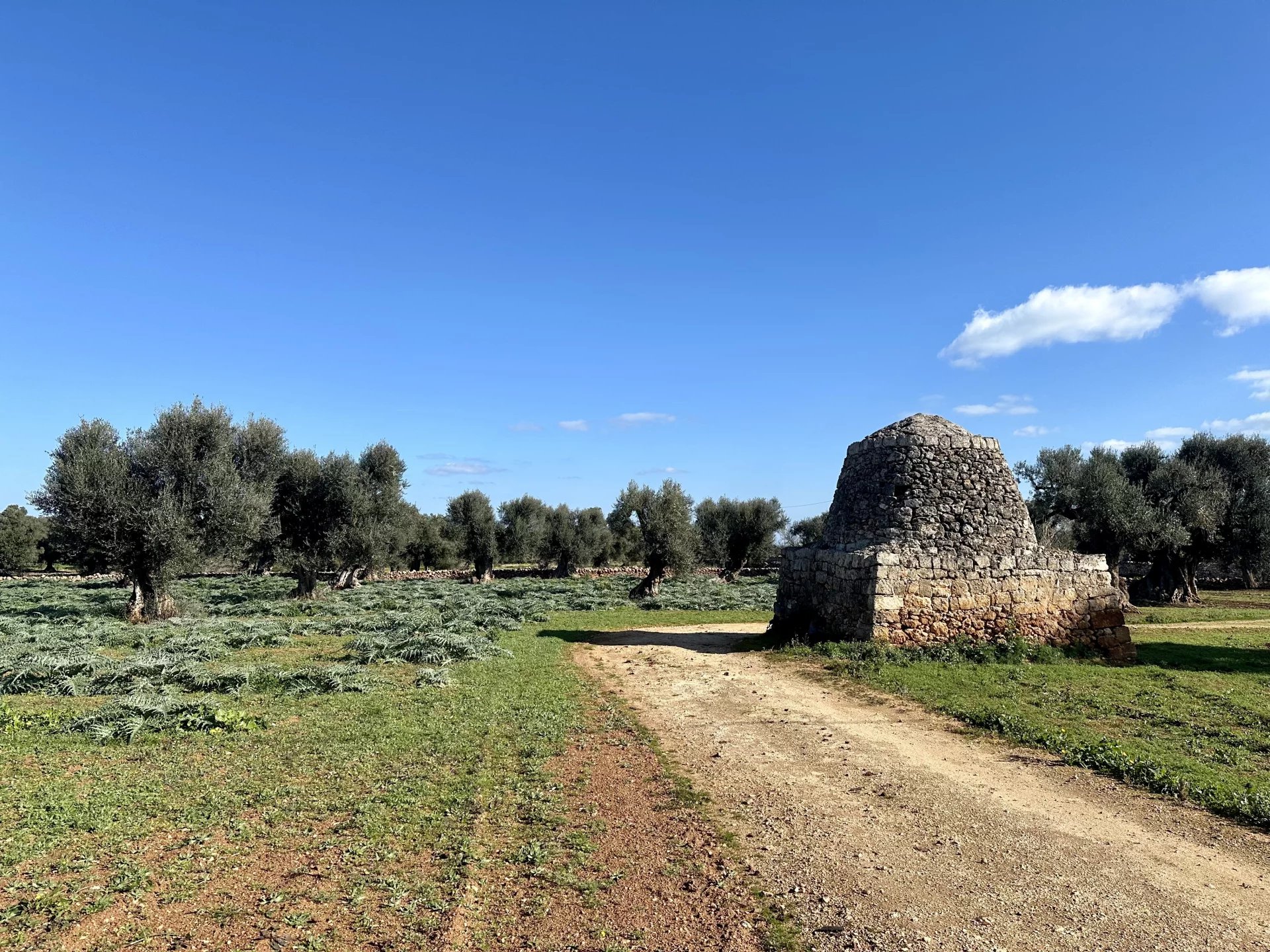 Venta Villa Fasano