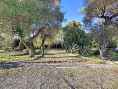 Property in Antibes in absolute calm, swimming pool — photo 4 of 7