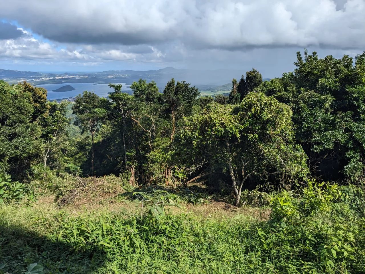 TERRAIN DE 2240M² VUE BAIE DE FORT DE FRANCE - LES TROIS ILETS