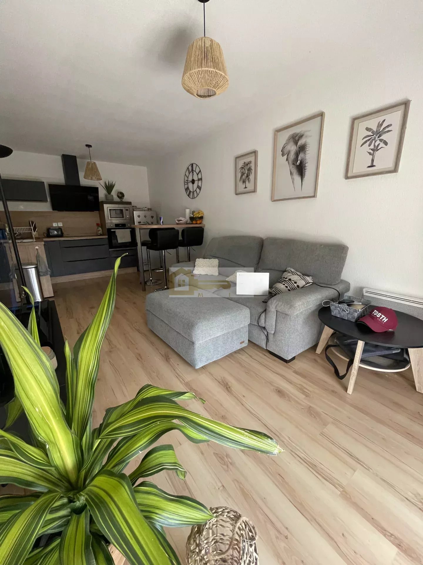 Agence immobilière de 