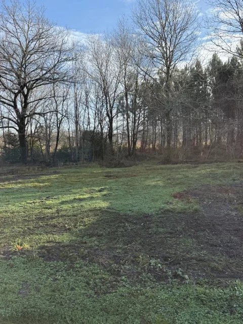 Agence immobilière de Kalimo