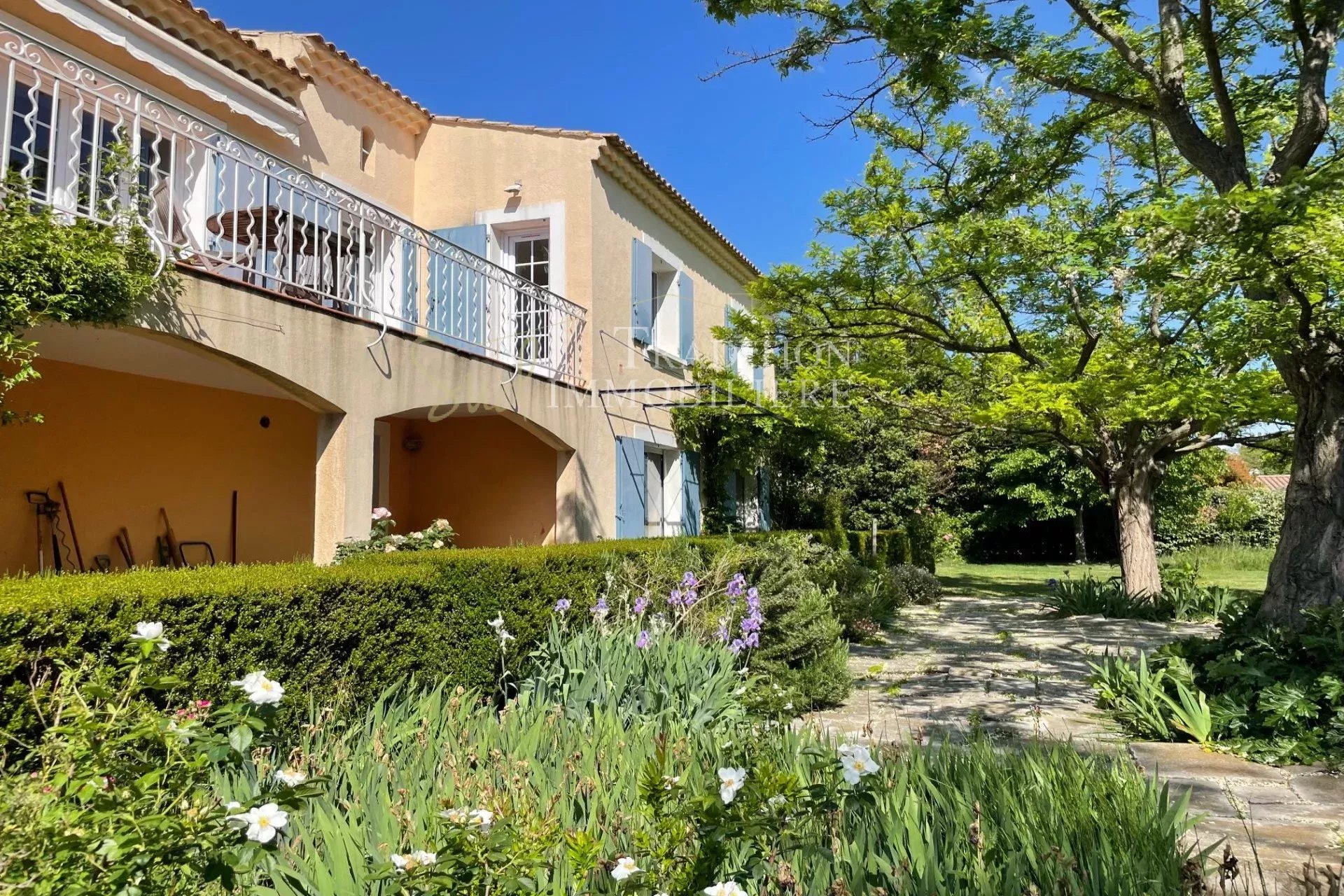Agence immobilière de ZUNINO