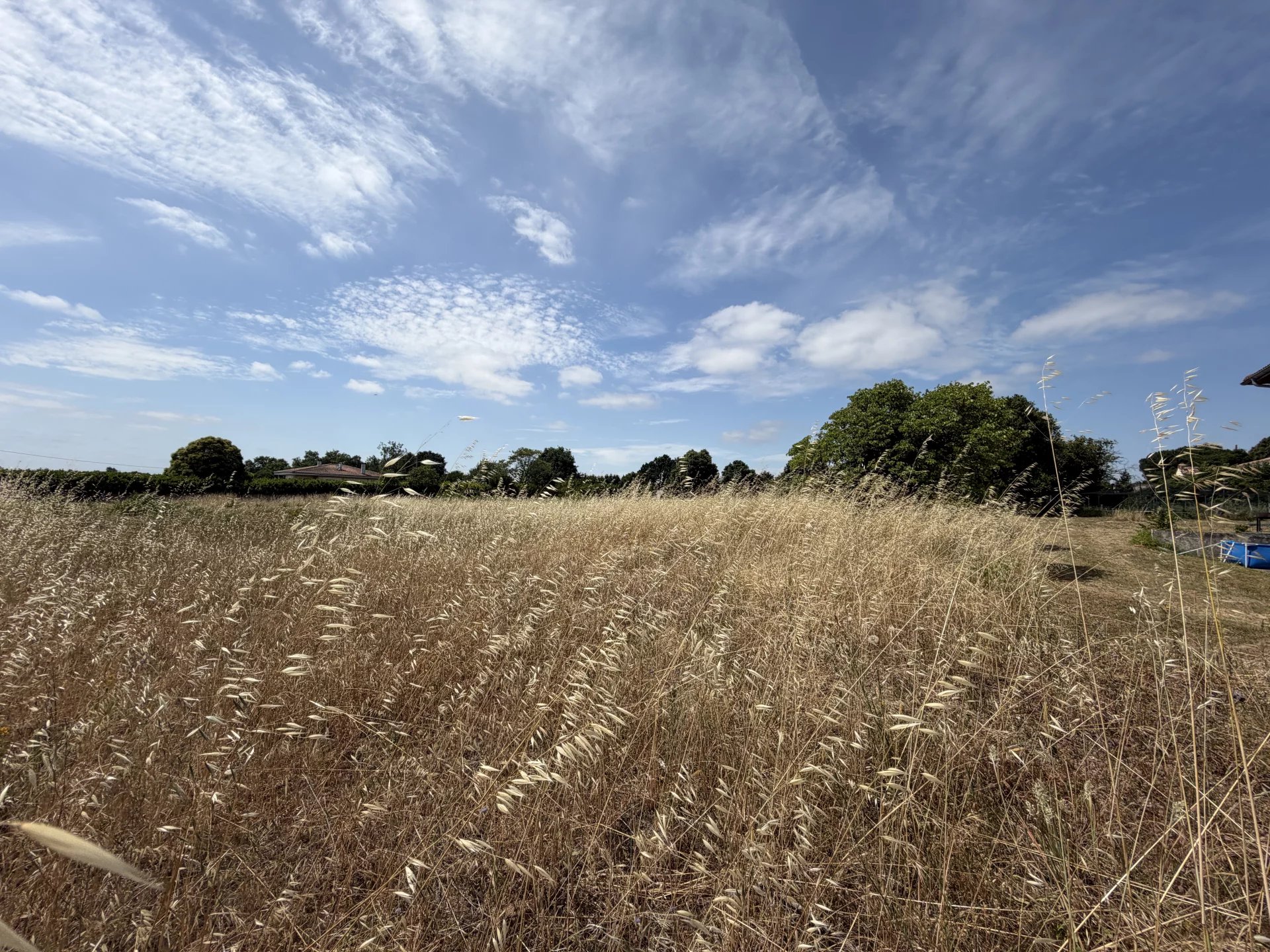 Terrain constructible de 6977 m2