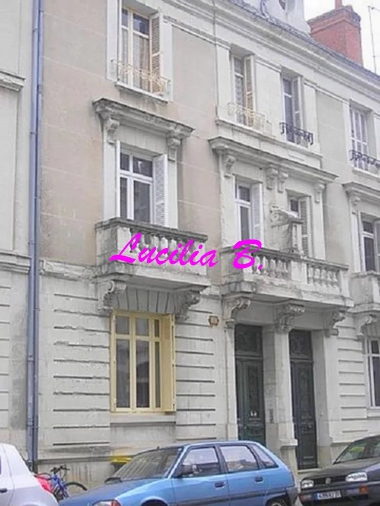 Appartement type 2 avec cave à louer