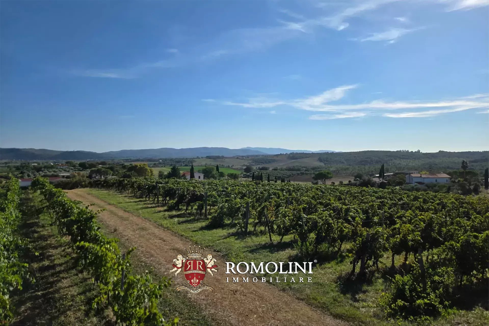 2 Bedroom Vineyard's Image 7