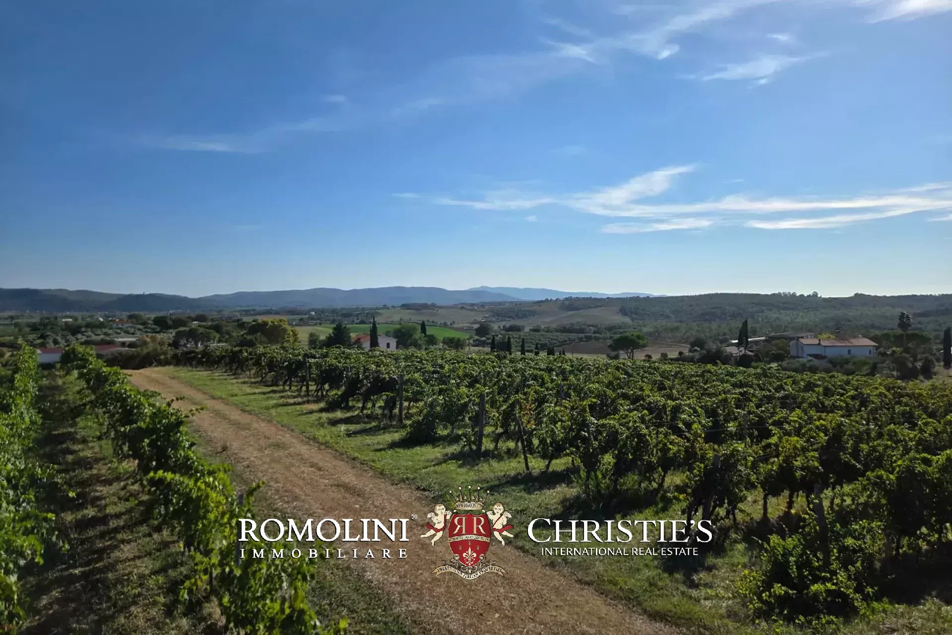 2 Bedroom Vineyard's Image 7