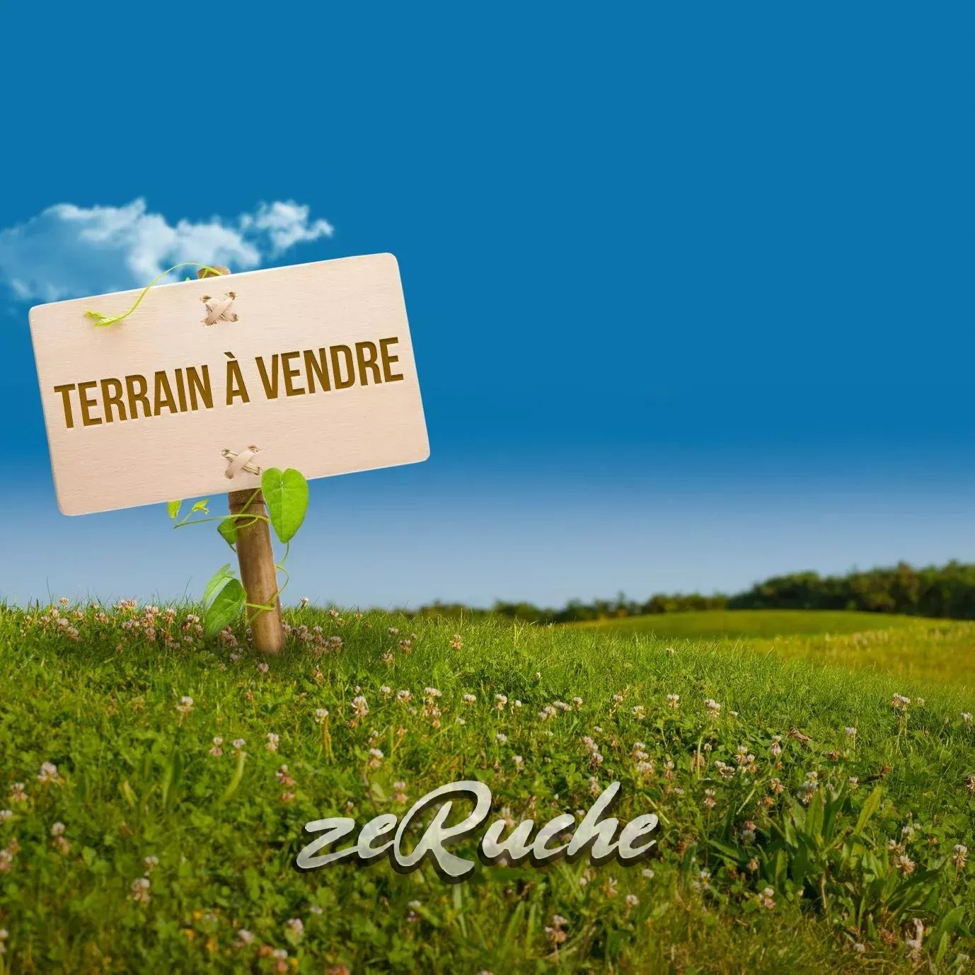 Agence immobilière de ZERUCHE